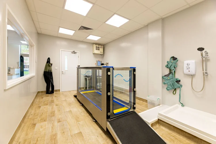 Veterinary photography by Heedly