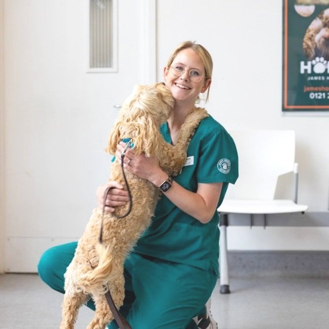 The Heedly team at a veterinary clinic