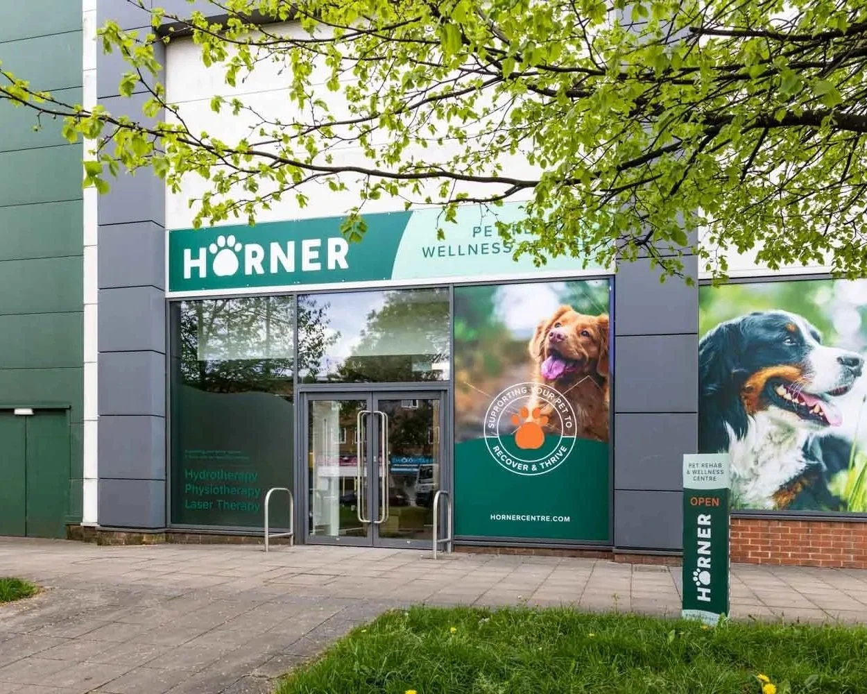 Storefront of Horner Pet Rehab & Wellness Centre with large images of friendly dogs, green tree and sidewalk in front
