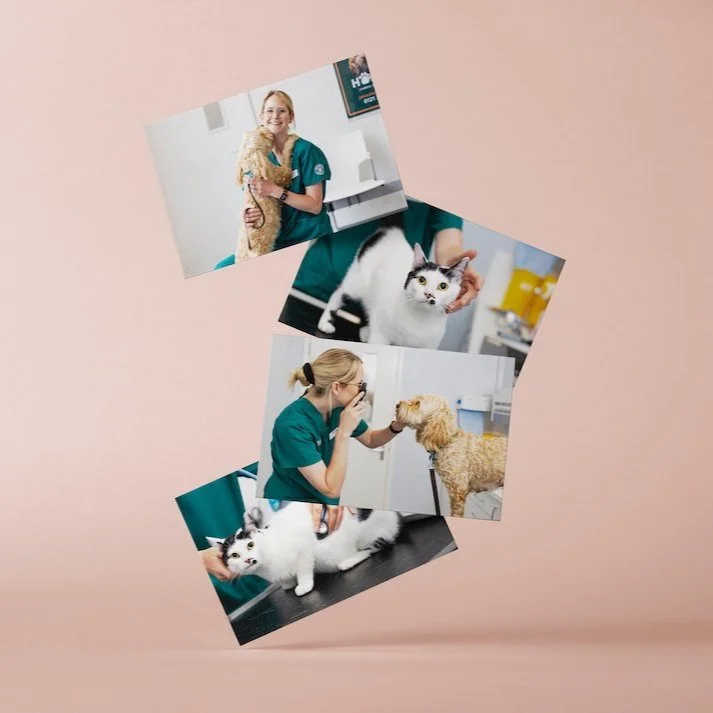 Content mock up for Horner Vets