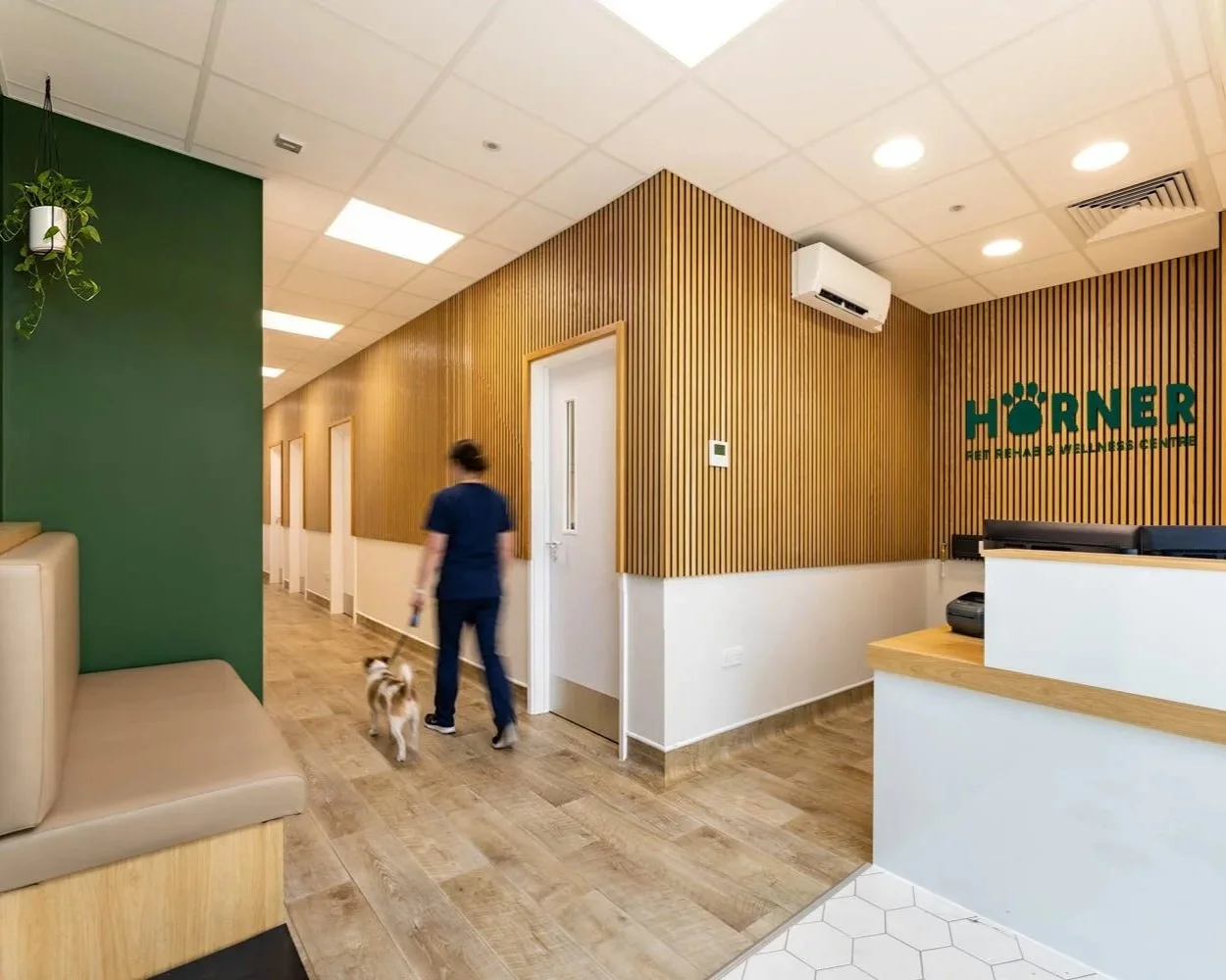 Interior of a Horner Vets Rehab & Wellness centre with wooden panelled walls, a green accent wall with hanging plants, a reception desk, and a woman walking a dog down a hallway.