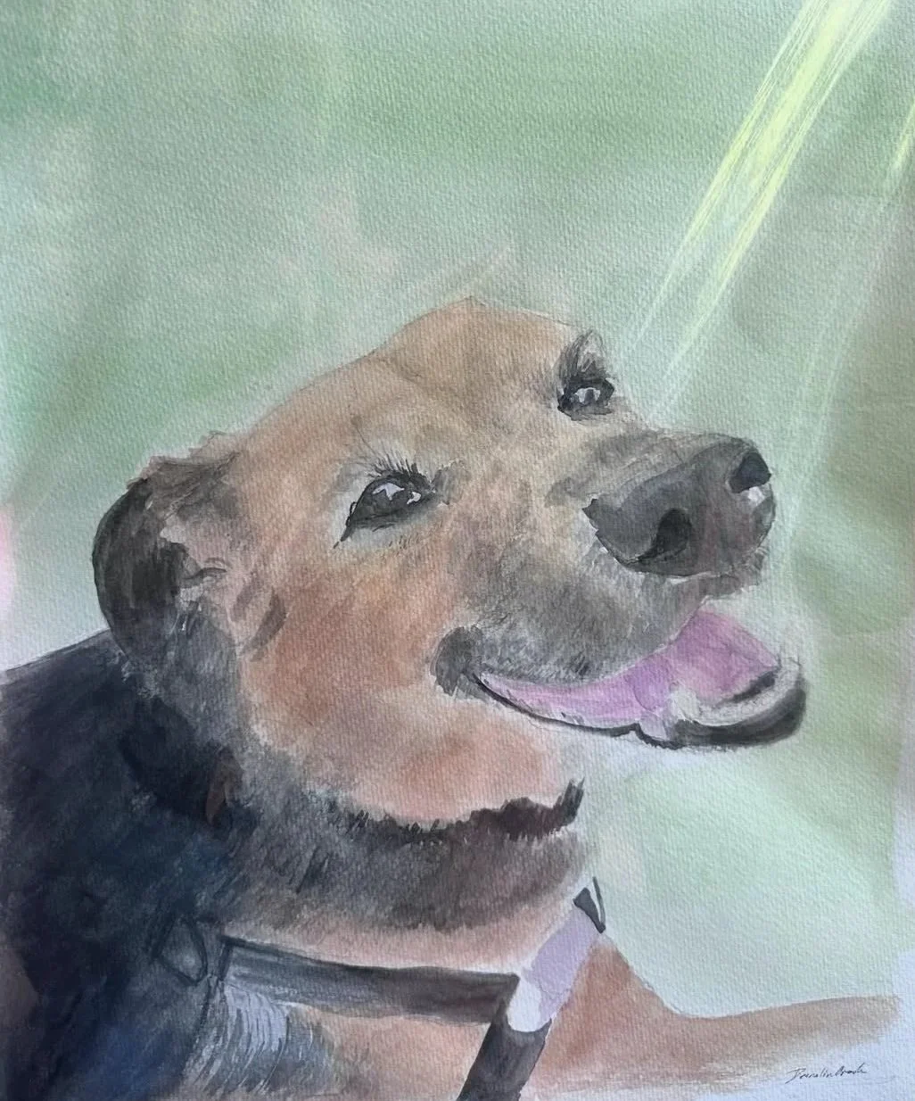 11x14
