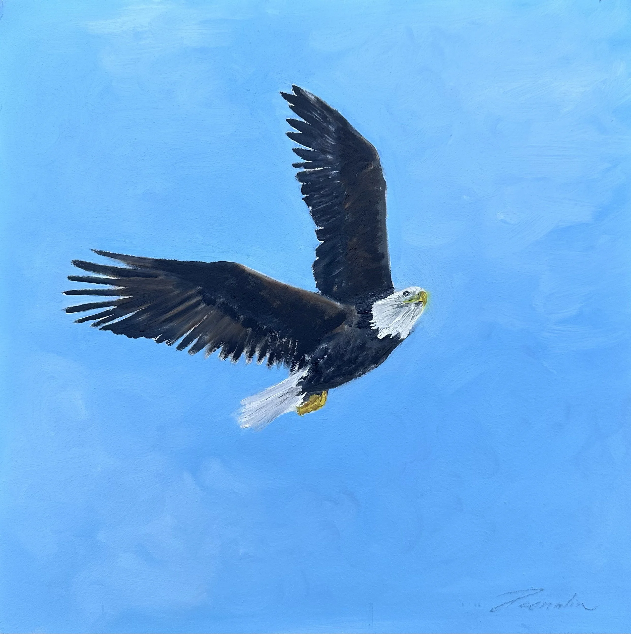 Bald Eagle Art Print .jpg