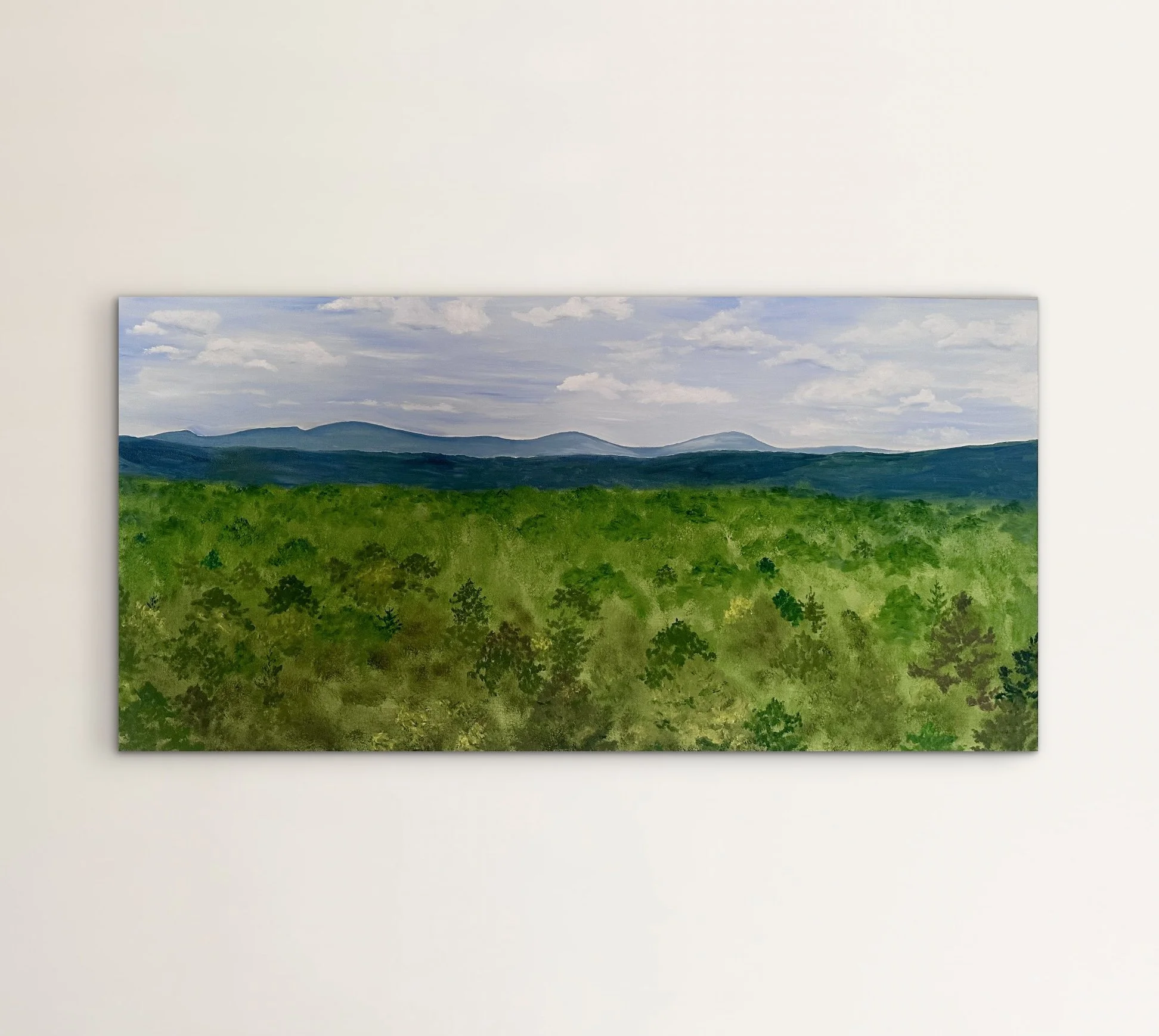 Centerville Virginia Mountainscape .jpg