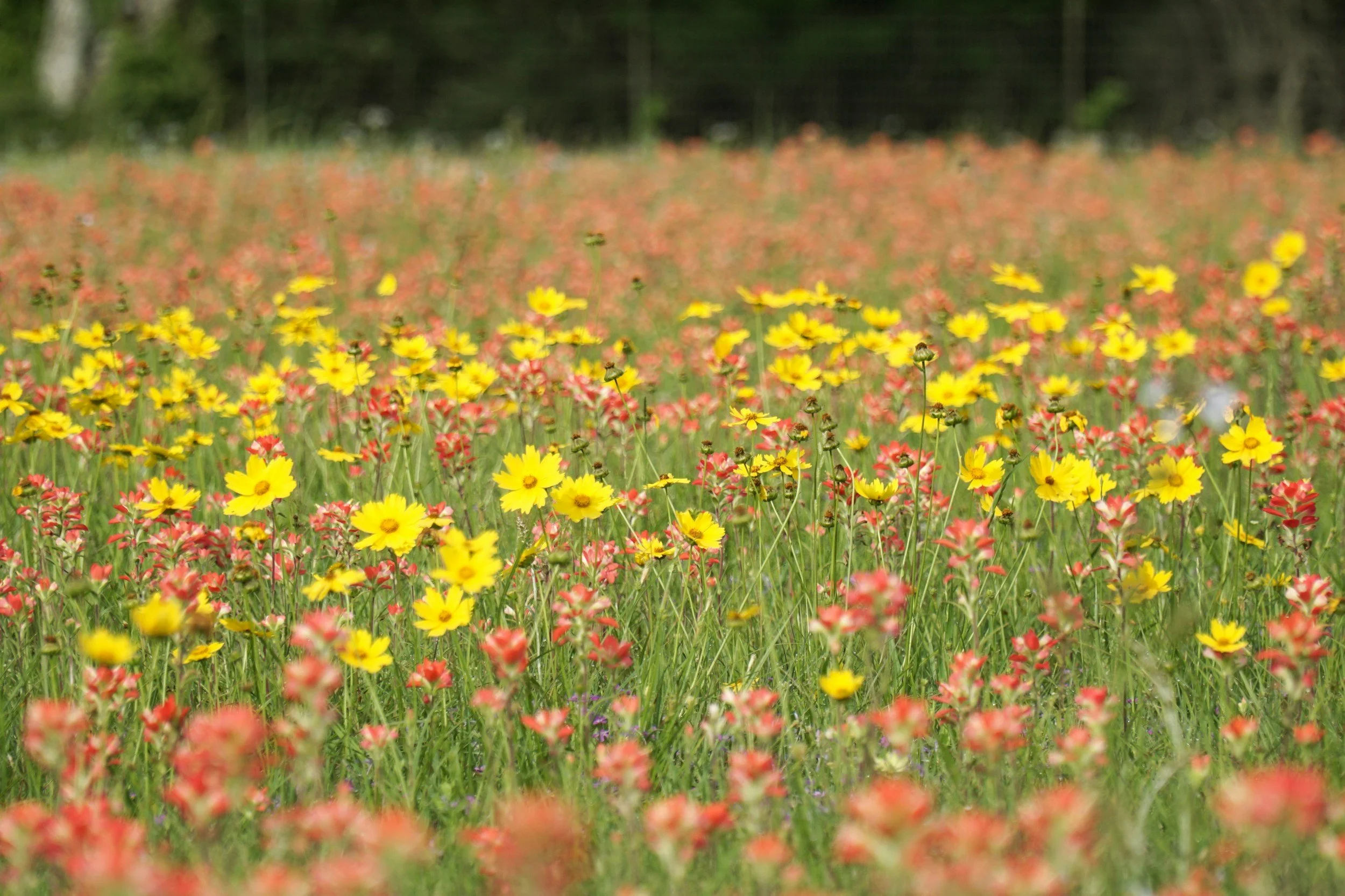 How To Find a Board-Certified LPC Supervisor
