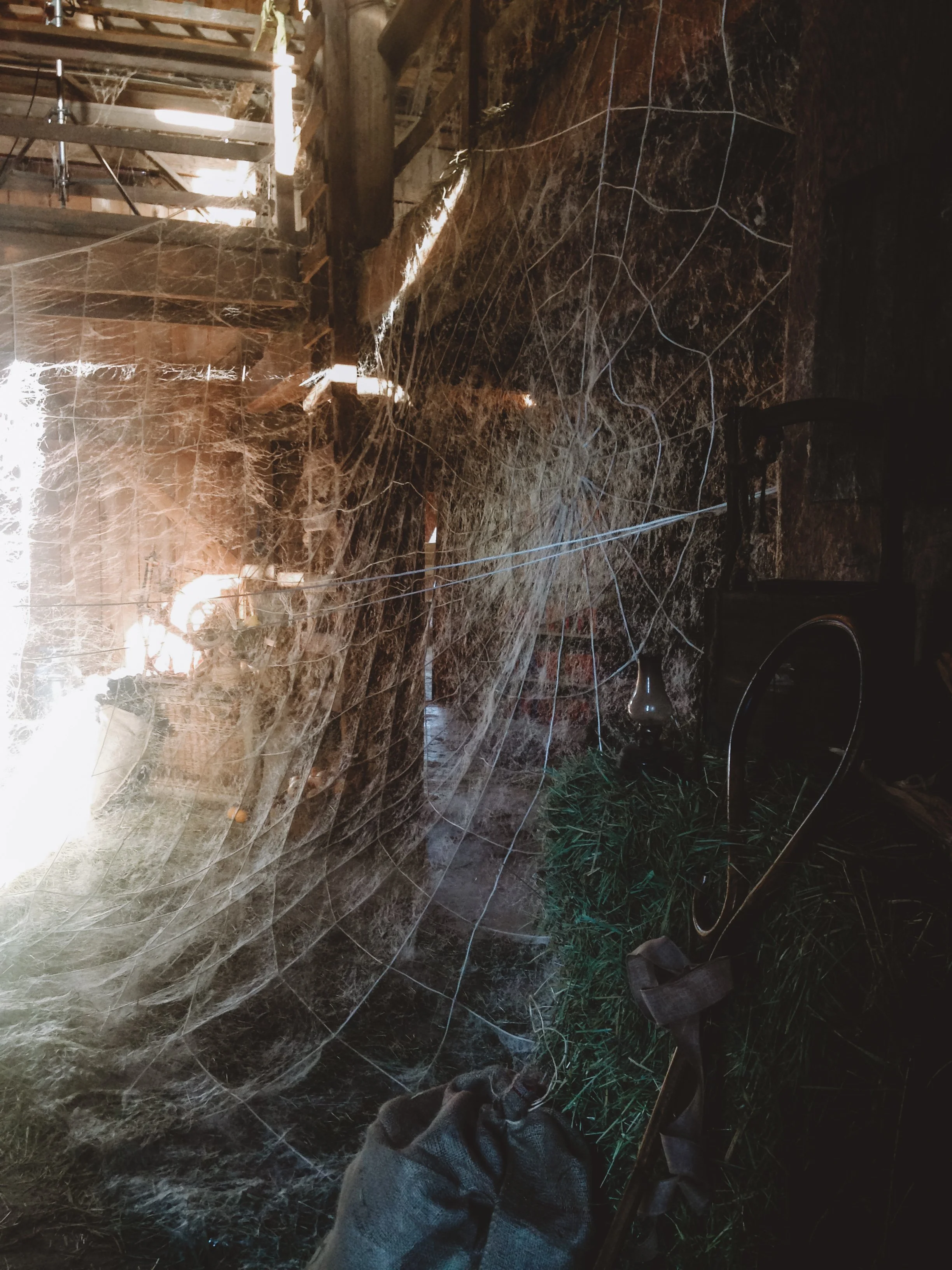 Photo 2016-09-20, 8 26 54 AM.jpg