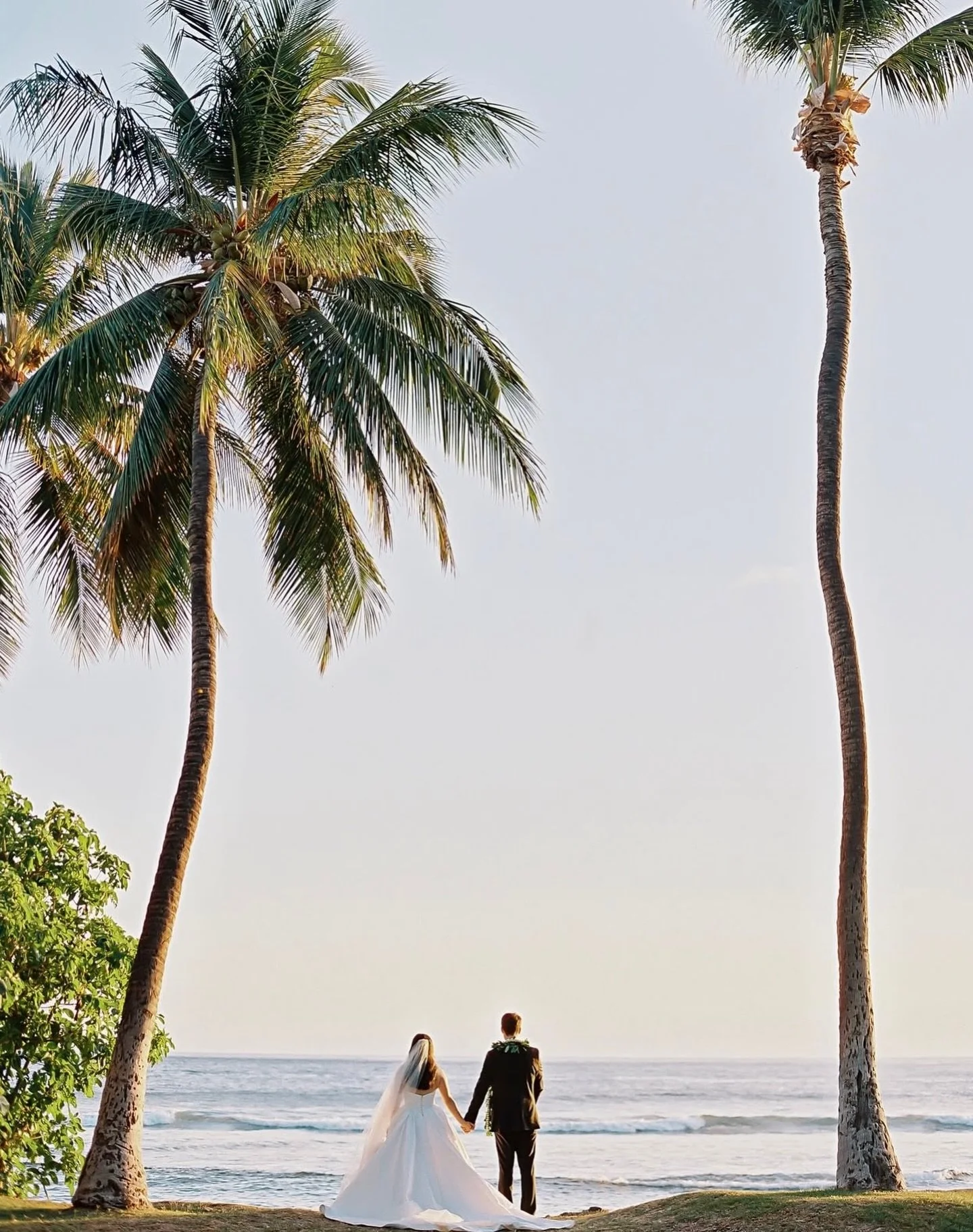 Andrea and Po&rsquo;s wedding was an incredible wedding event with some of our absolute favorite people to work alongside!!! 

Check out these incredible Maui vendors below:

Makeup @mariane_mua 
Hair @hairbymandahart 
Venue @theolowaluplantationhous