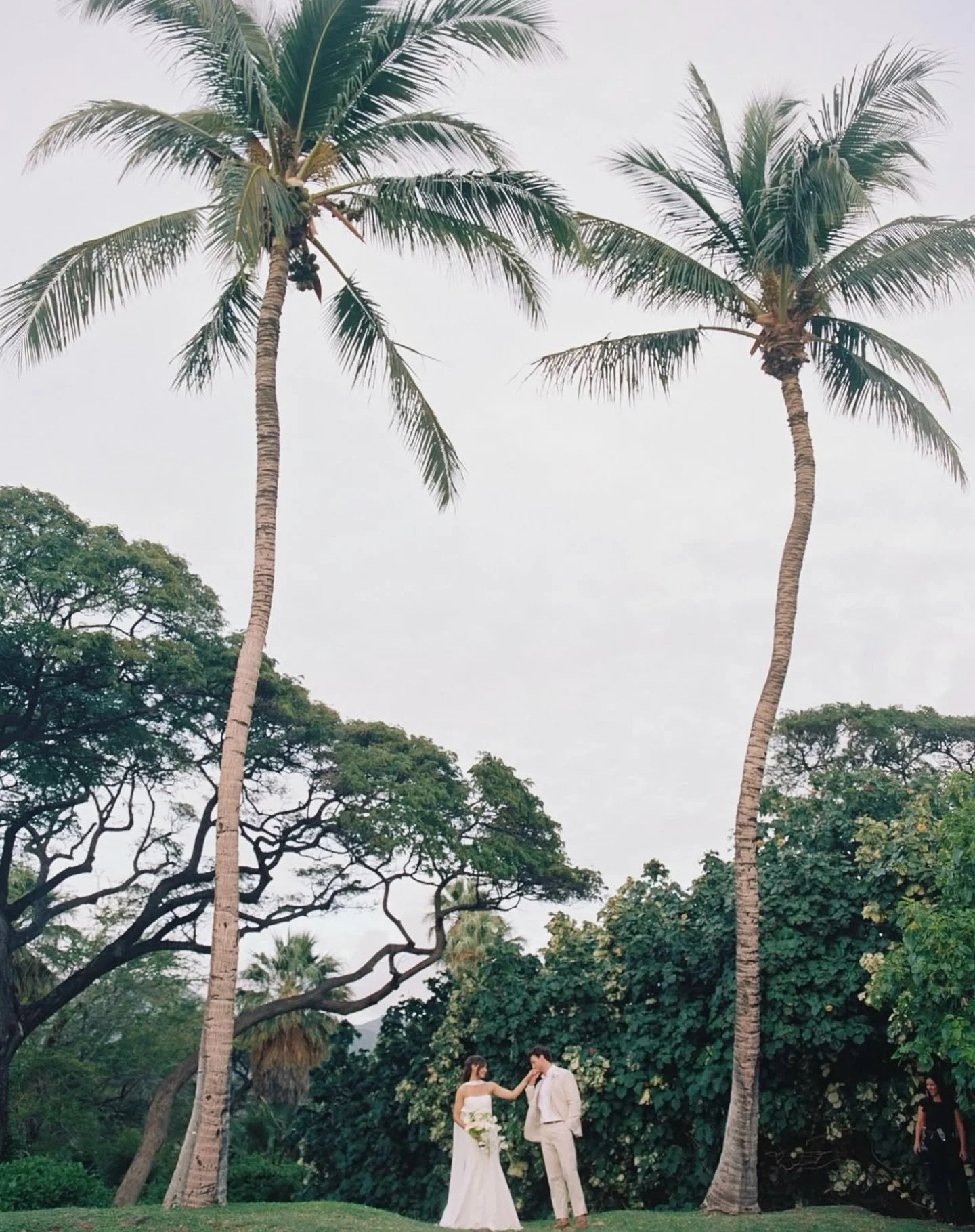 Living for the moody lush landscape at Oluwalu Plantation House!! One of our all time favorite venues on Maui!! The icing on top was our bride Amanda, who is a timeless beauty. 🫶🏼💕

Oceanfront Venue @theolowaluplantationhouse 
Planning and design 