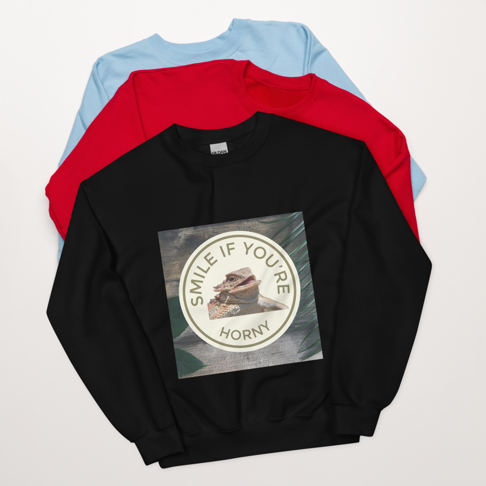 unisex-crew-neck-sweatshirt-black-front-66984b3129201.png