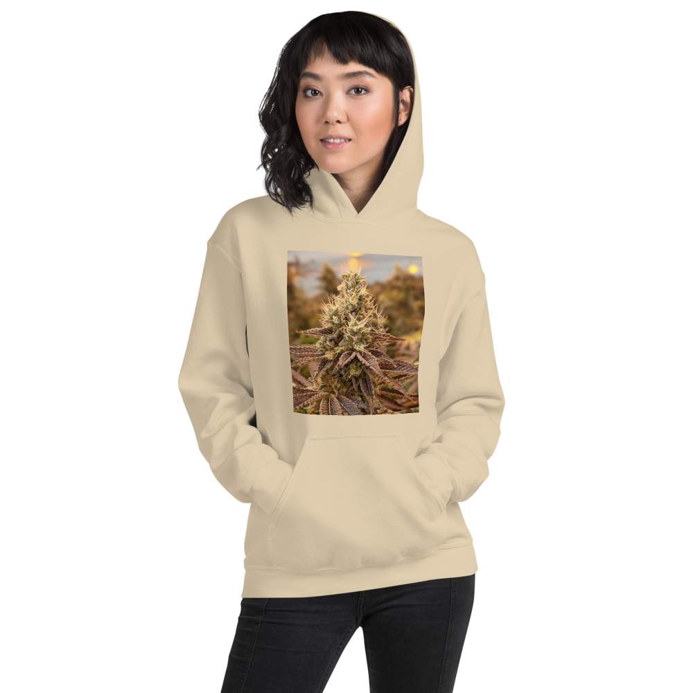 unisex-heavy-blend-hoodie-sand-front-669932087d157.png