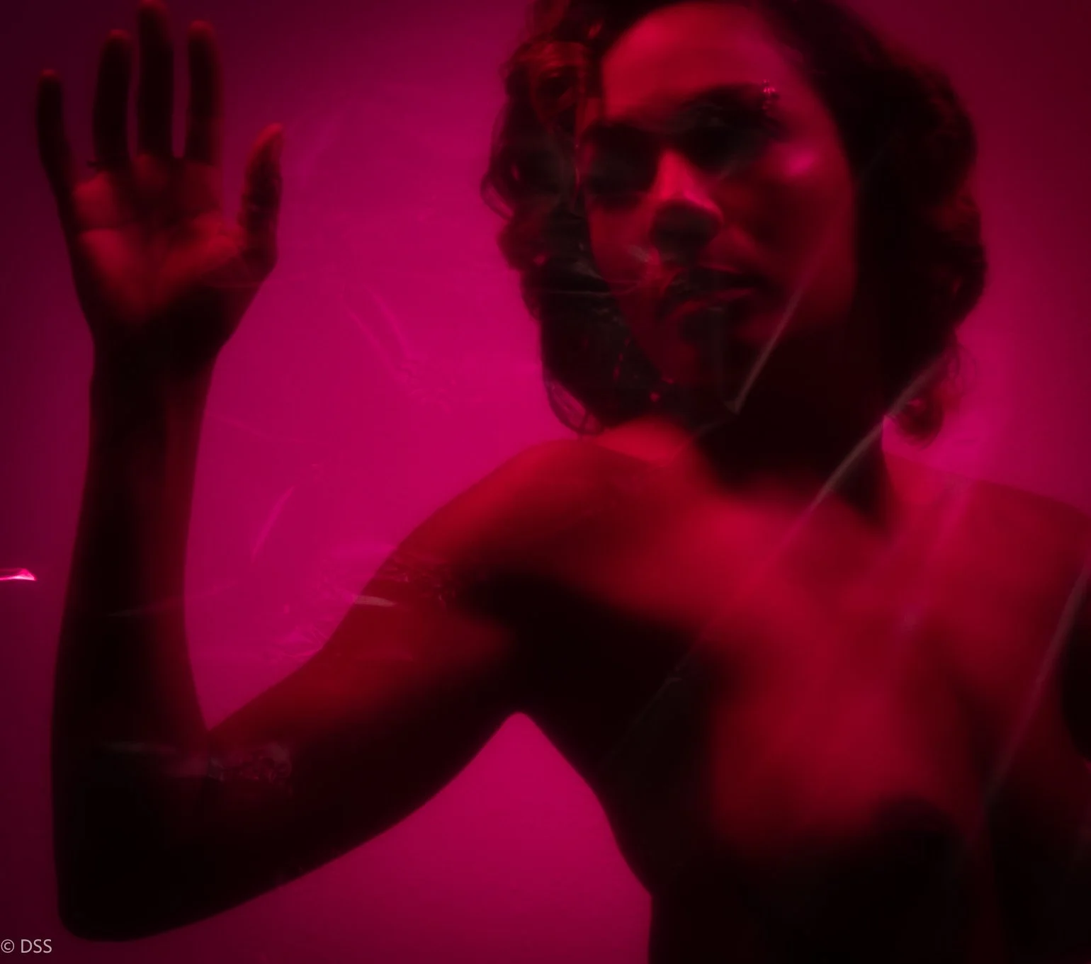 Copy of _DSF6131.jpg