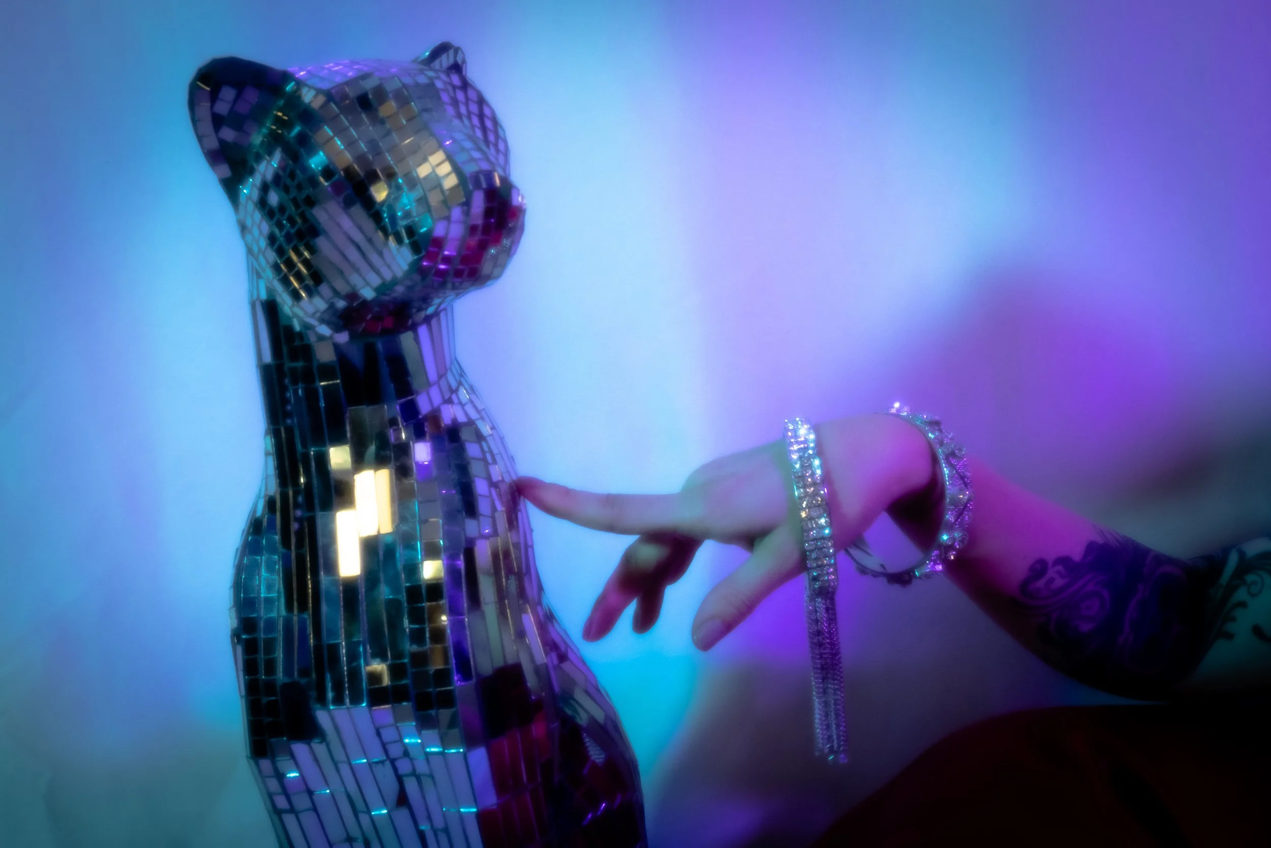 Copy of Copy of JiaDiamondCatBP-6.jpg