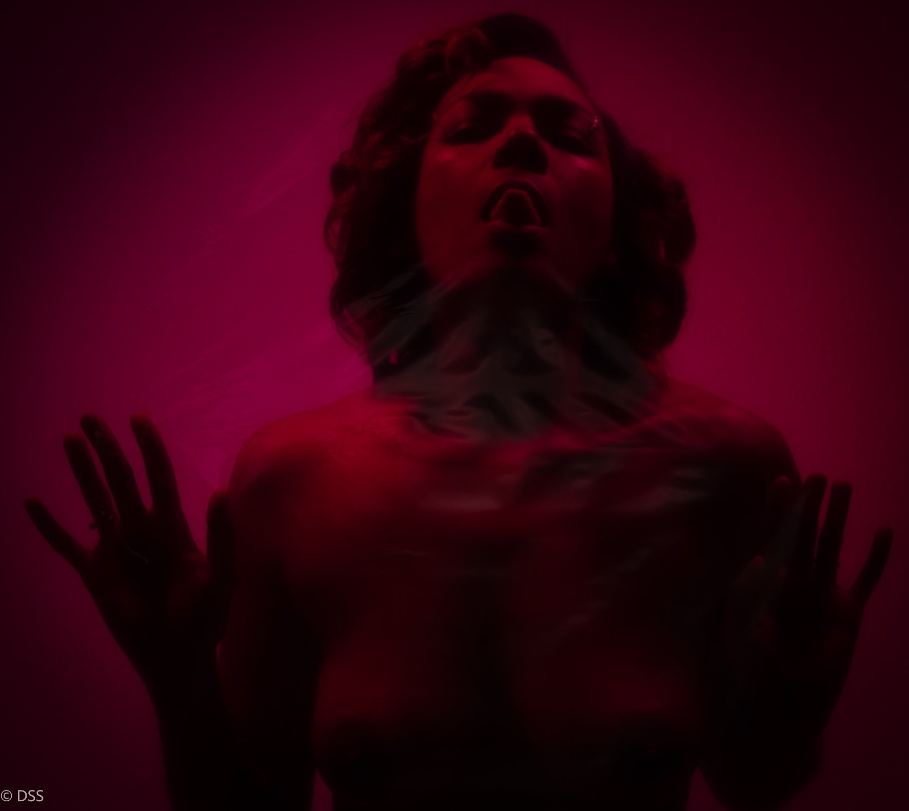 Copy of _DSF6143.jpg