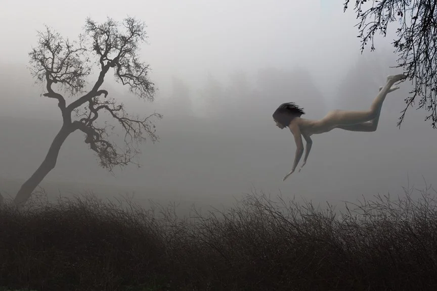 Falling to Earth.jpg