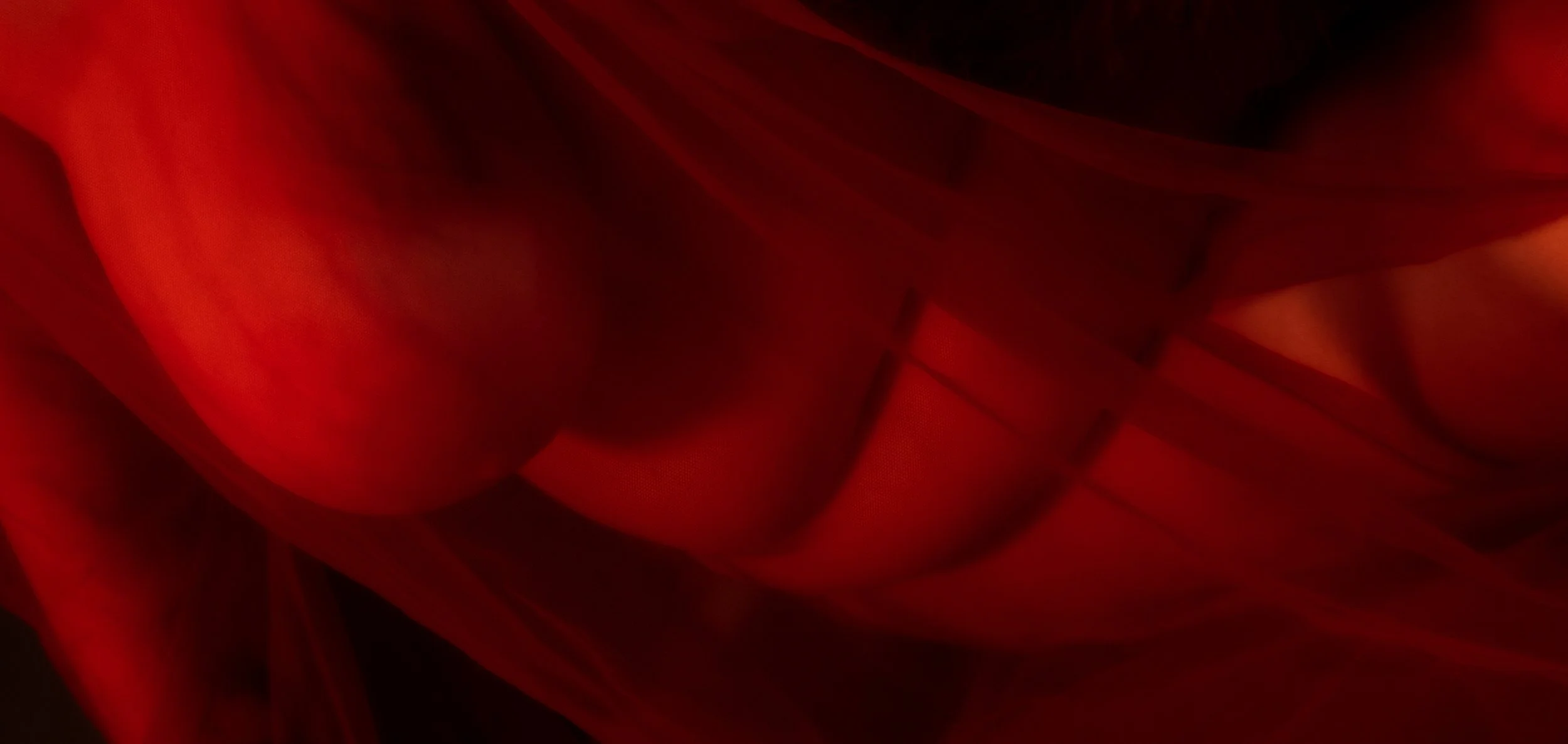 Copy of _DSF1345-3.jpg