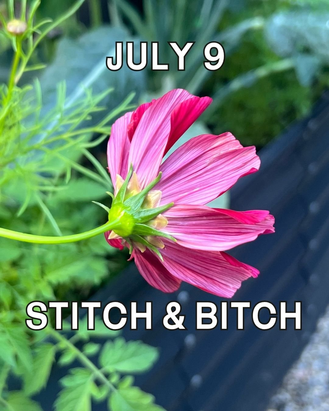 Thursday, July 9th , Stitch & Bitch