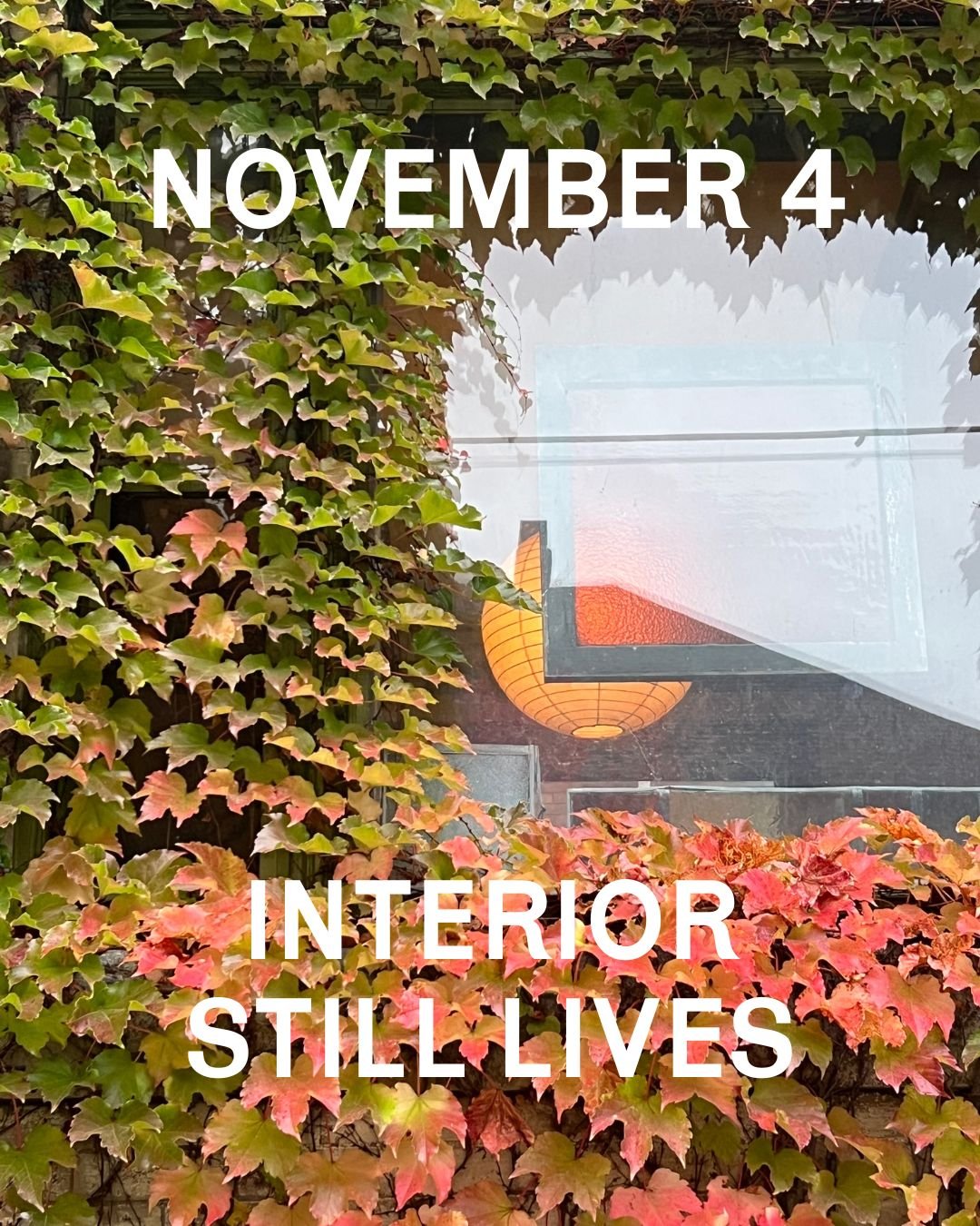 Tuesday, November 4th, Interior Still Lives