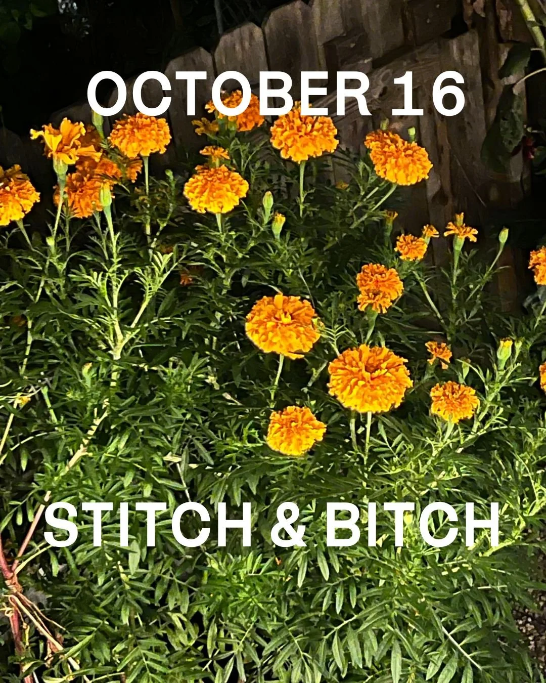 Thursday, October 16th, Stitch & Bitch