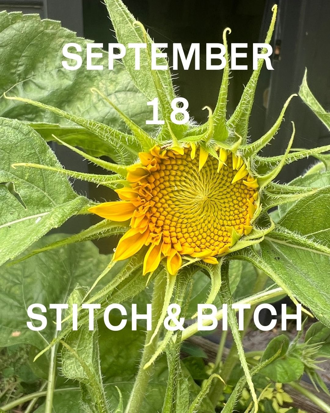 Thursday, September 18th, Stitch & Bitch