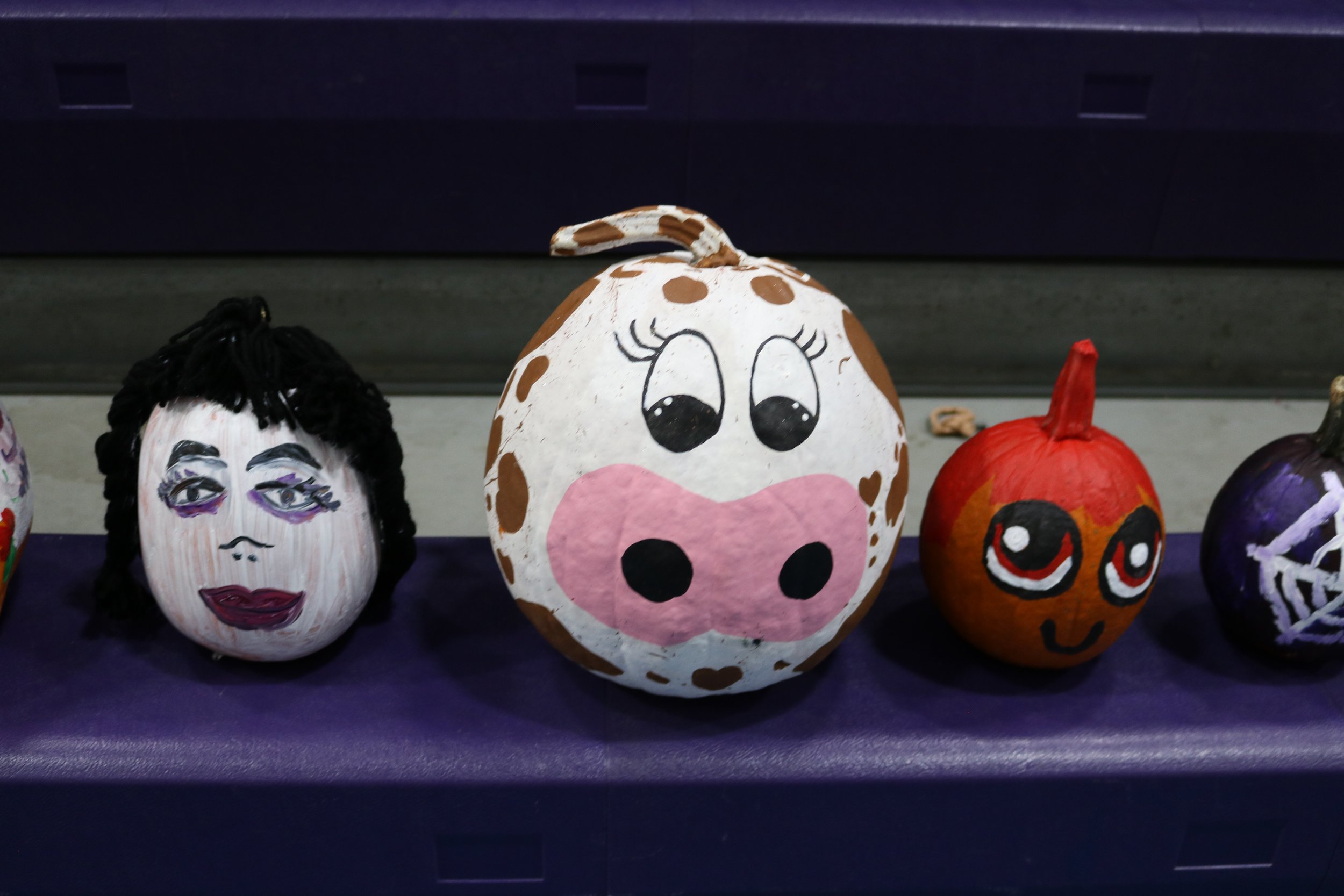 Decorated pumpkins, including one with a face and mullet hairstyle, a cartoon pig face with pink nose, a pumpkin with eyes and smiling mouth, and a pumpkin with purple and white spider web design.