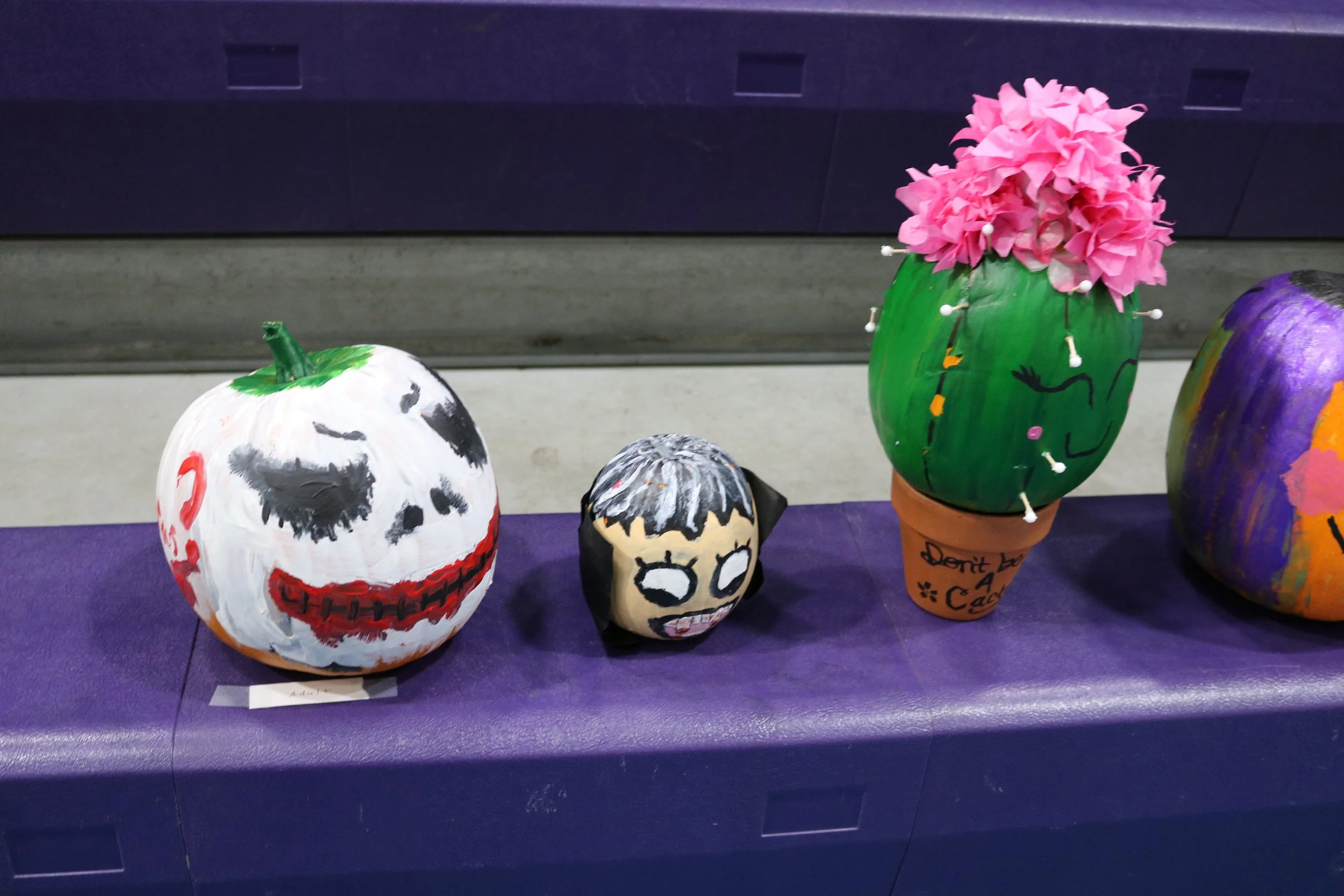 Three painted pumpkins and a painted rock display on a purple surface. The pumpkins are decorated as a spooky face, a girl's face, and a green cactus with pink paper flowers.