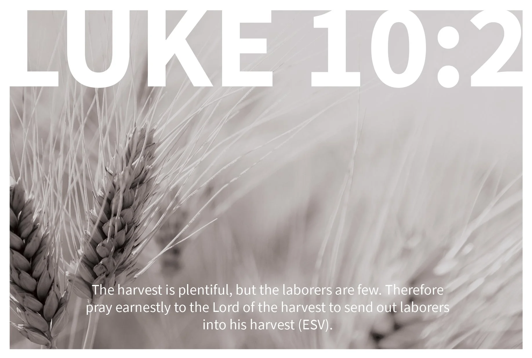 Postcard 3 - 5 sample postcard.jpg