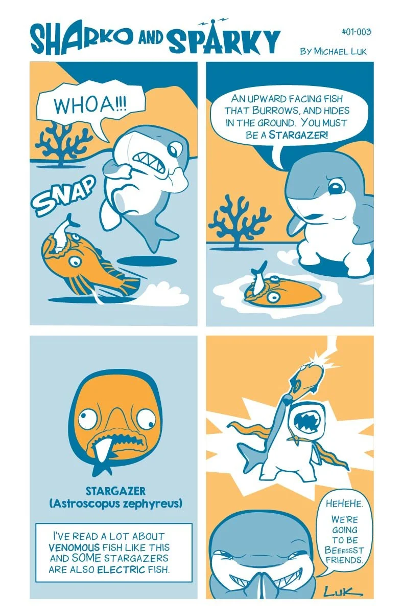 SharkoandSparky_web-03.jpg
