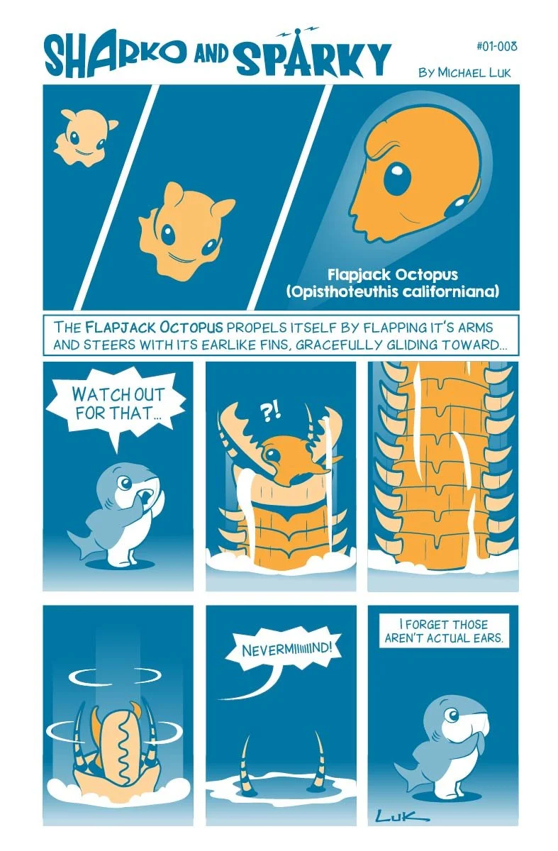SharkoandSparky_web-08.jpg