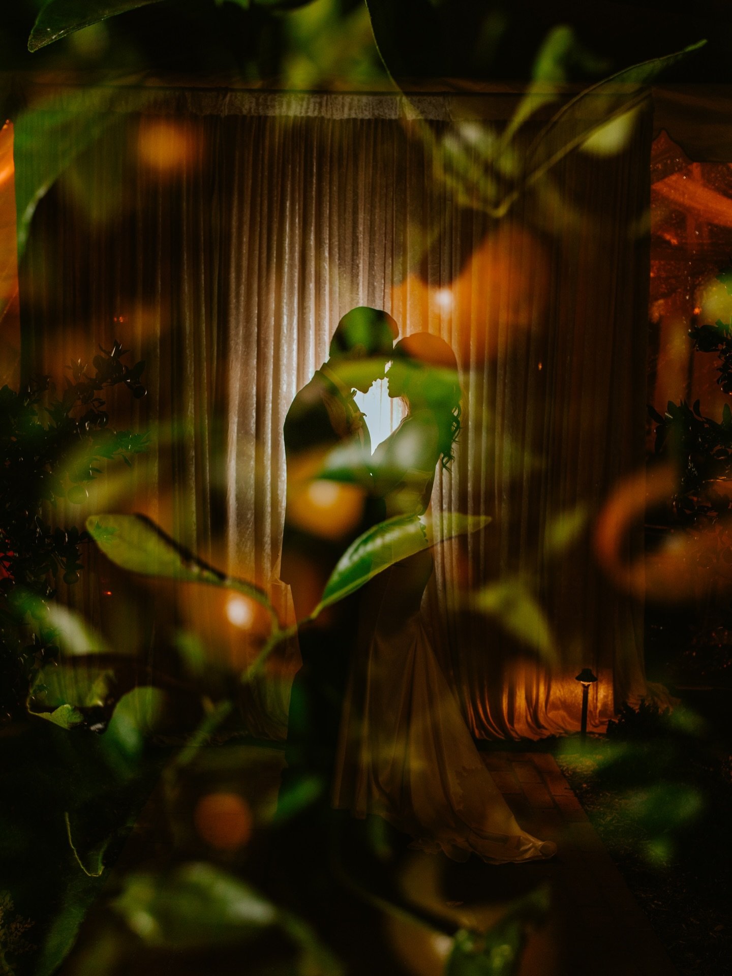 This past weekend, I had the pleasure of photographing Crystal &amp; Sean&rsquo;s surprise Thanksgiving wedding, hosted in the comfort of their family home, surrounded by the people they love most.
We were running a little behind (as all the best wed