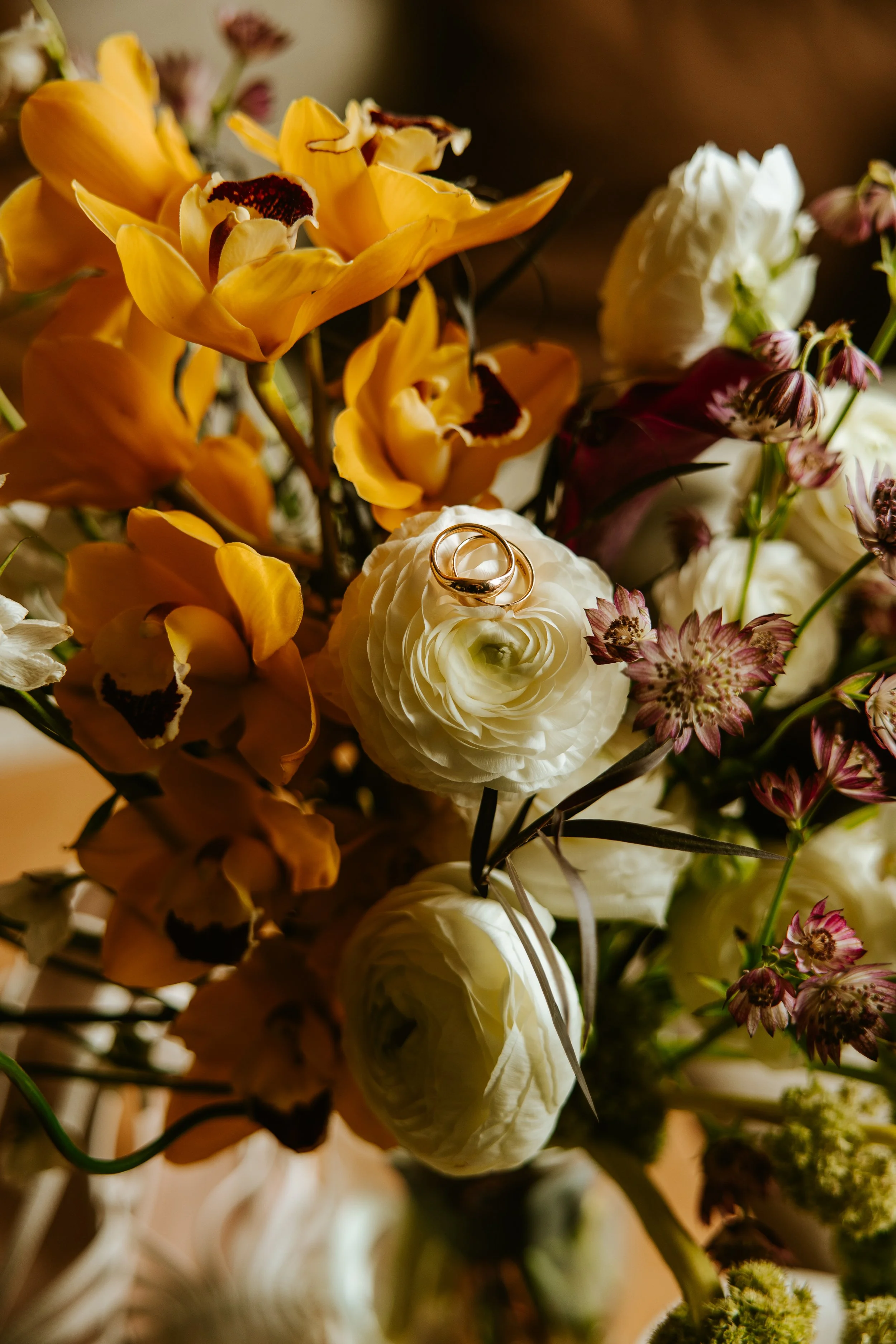 AlexLeePhoto__LisaNate_JosephineButlerParksCenter_CG6A0459.jpg