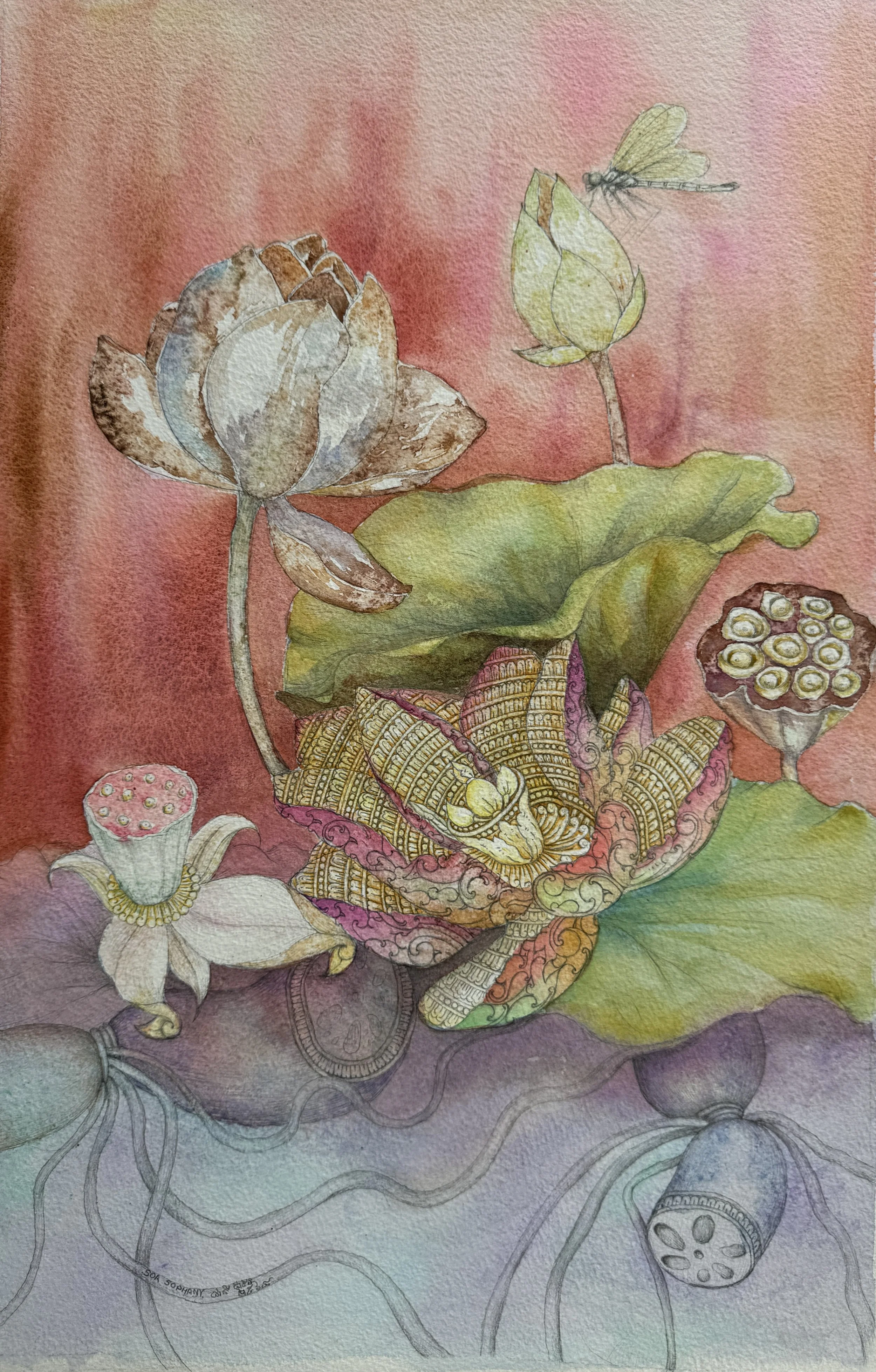 Sor Sophany, Life Cycle of a Lotus (Completion), 2024, Watercolor and Pencil on Paper, 34x51.5cm