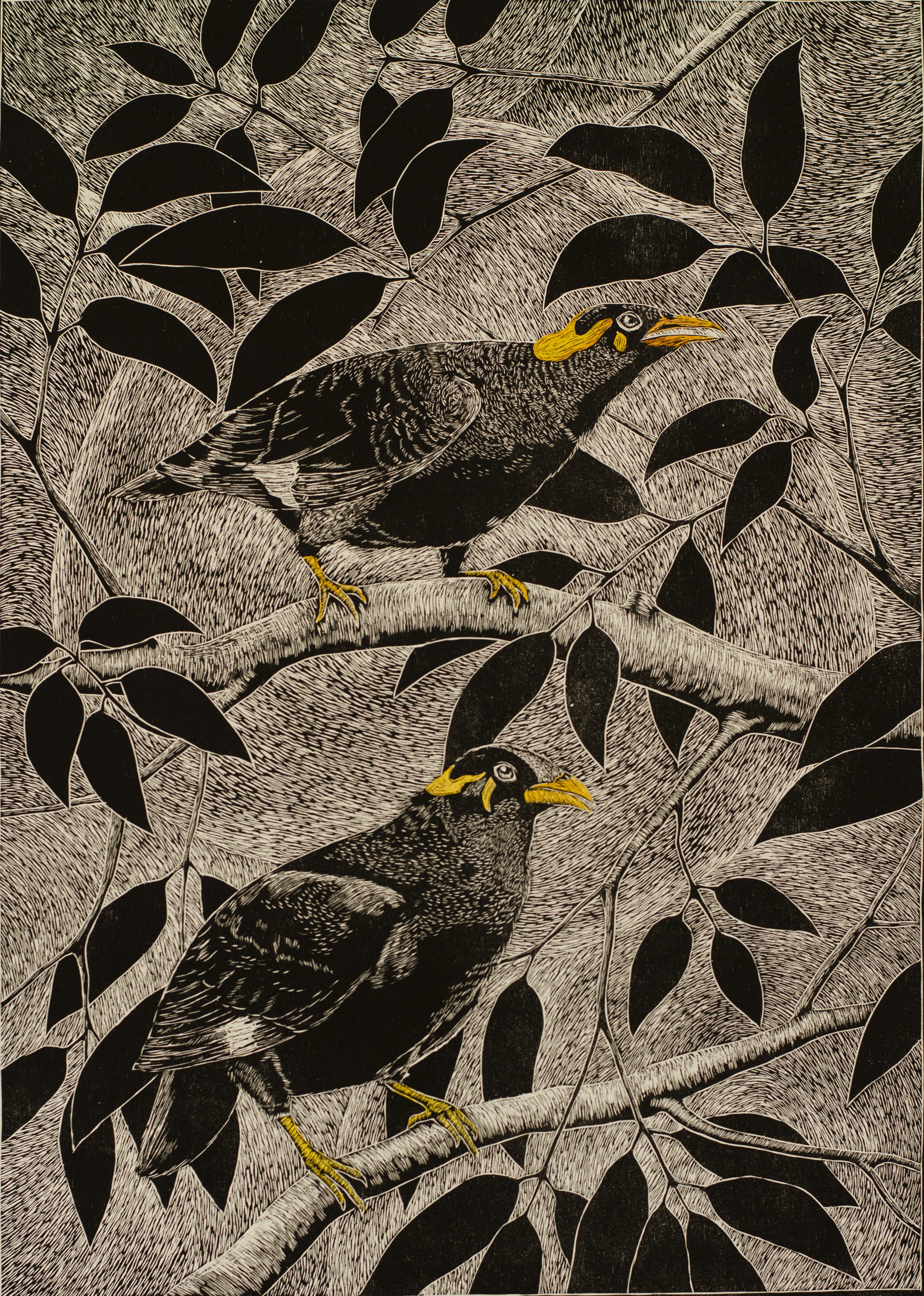 Rida Srun
The Black Bird, 2021,
Woodcut Print and Watercolor on Fabriano Paper,
50x70cm