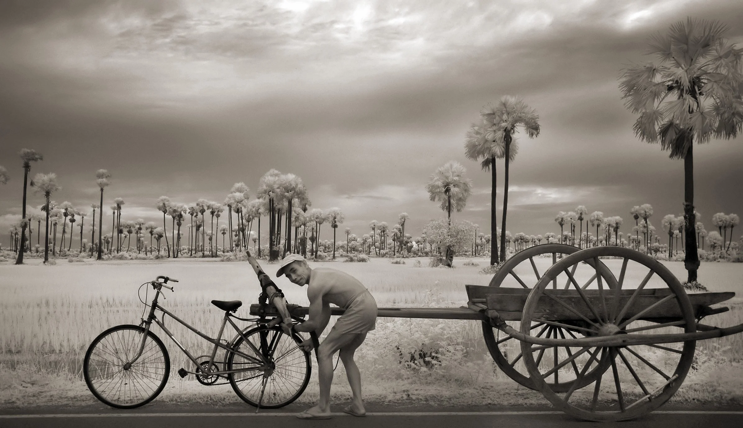 John McDermott  
Bicycle Man - Siem Reap Province - Cambodia, 2012 Photograph (Edition #2)  
22.86x40.64cm. (9x16in.) 