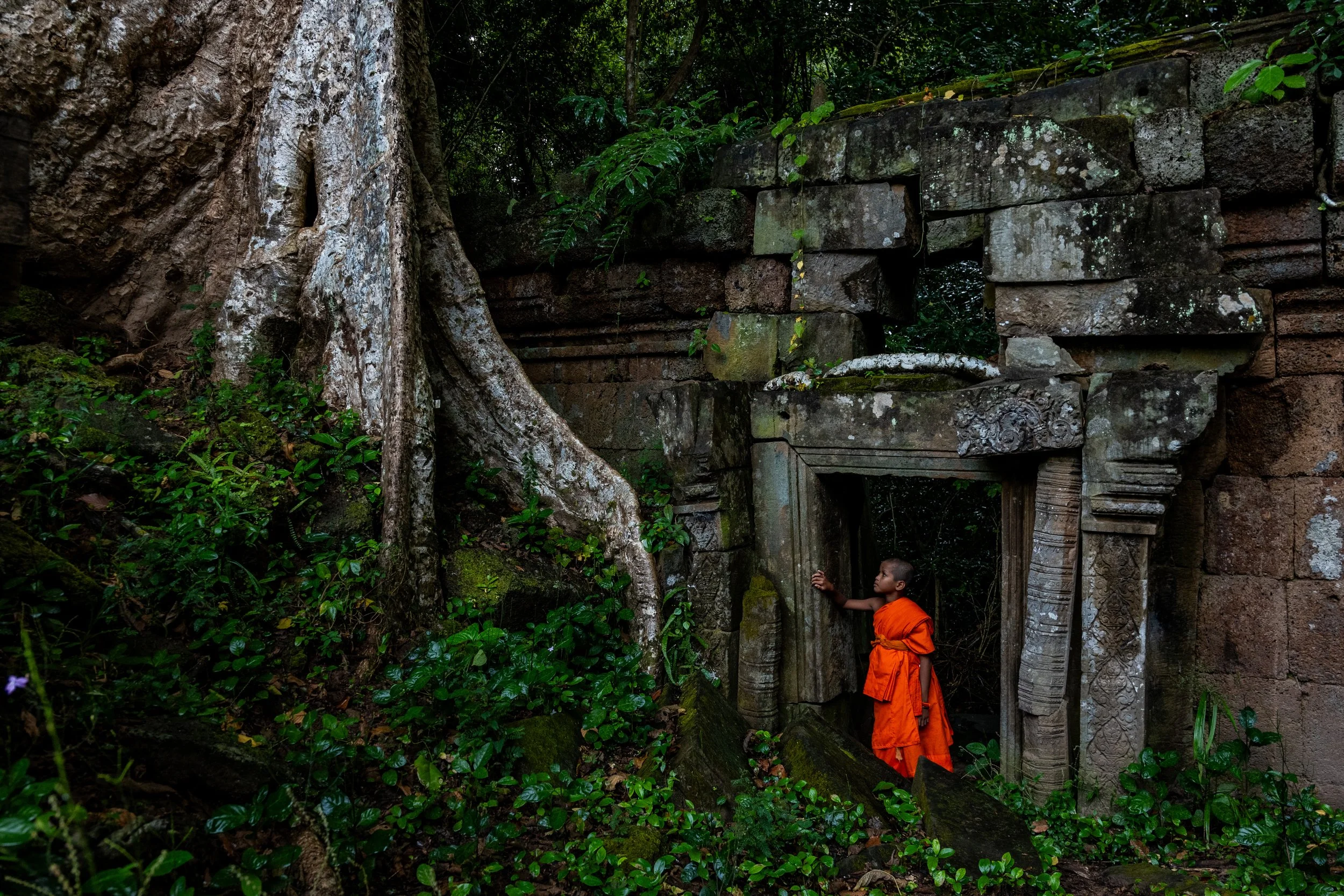 Ranuth Yun,  The Returning , 2023,
Photographie, 40 × 60 cm
 
Cette photographie capture le calme qui suit une forte pluie tropicale, lorsque les ruines d’un ancien temple et la nature environnante semblent retrouver une profonde harmonie. Les racine