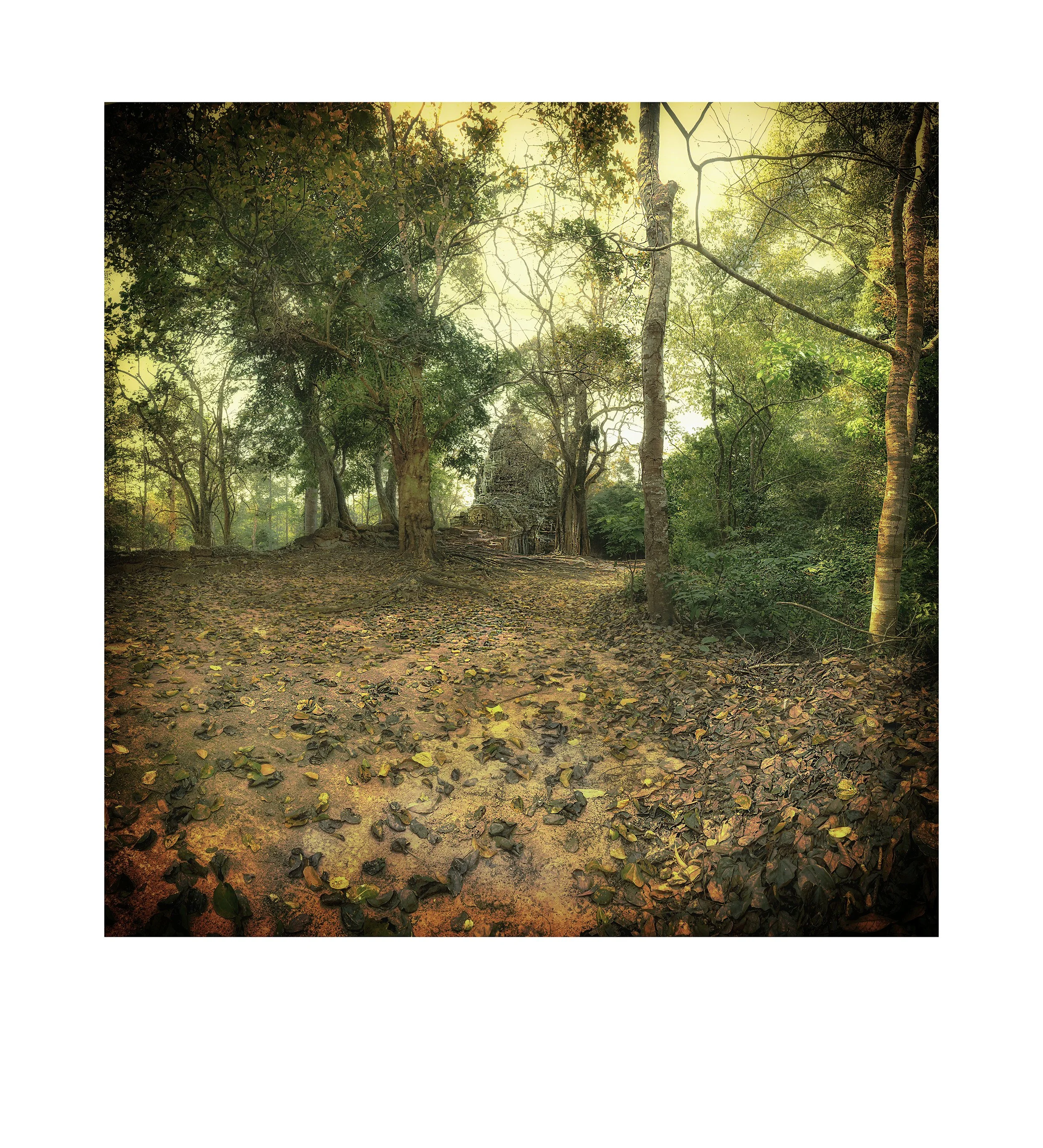 Frederick Sigman
Victory Gate, Angkor Thom, 2024
Digital Ink Print