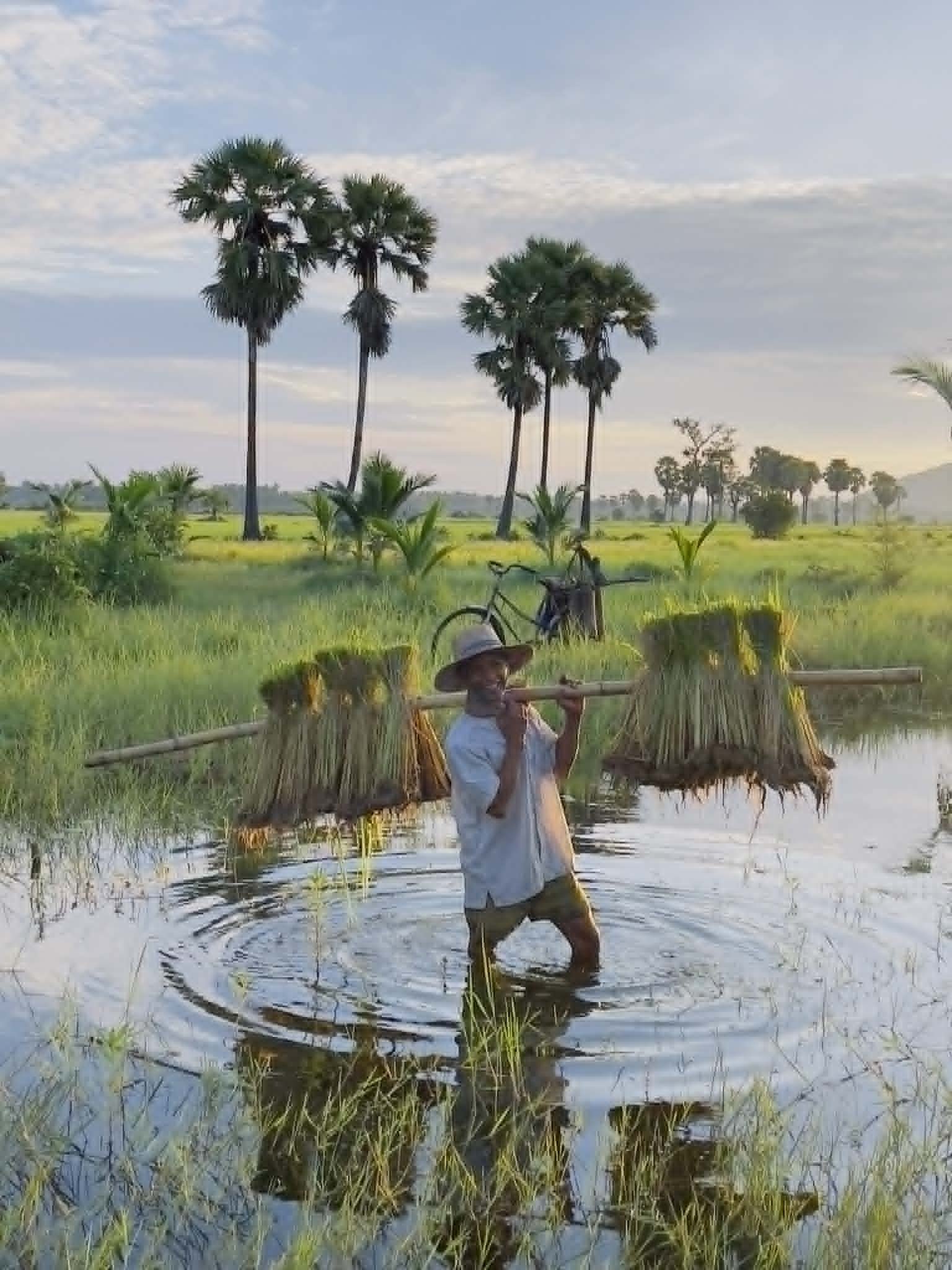 Jo Farrell  
Preah Dak, Siem Reap, 2023 
Photograph 
83x135 cm. 