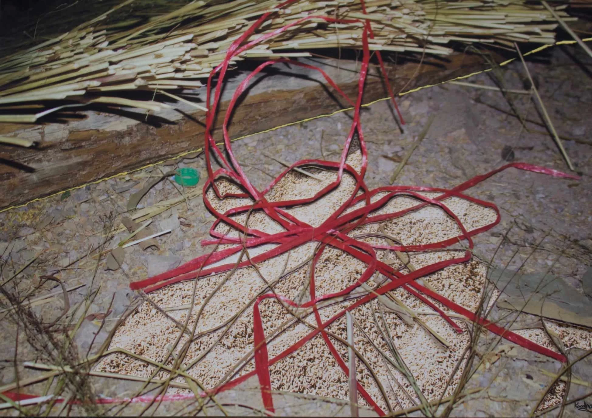 Ariel Mario Tudela (b. 1983)
Prasat Khleang Khang Cheung, 2024
Oil Pastel on Paper
79x109cm.