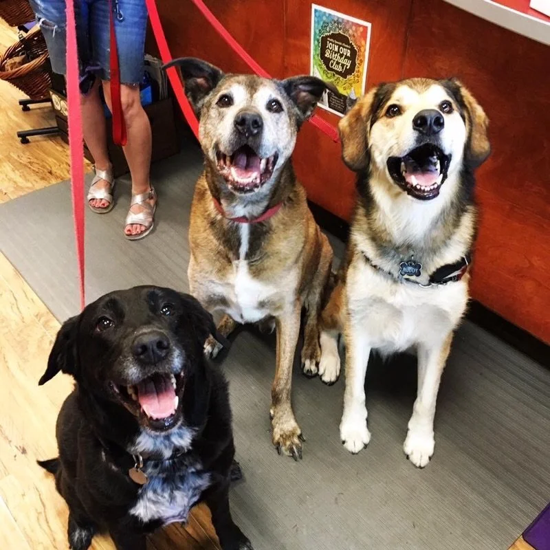 All the Best Crew.JPG