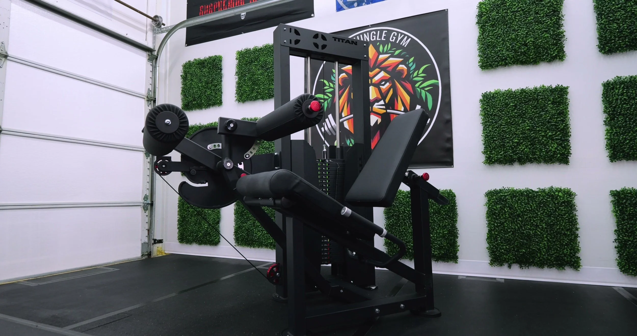 Titan Fitness Selectorized Seated Leg Extension and Leg Curl Machine Review