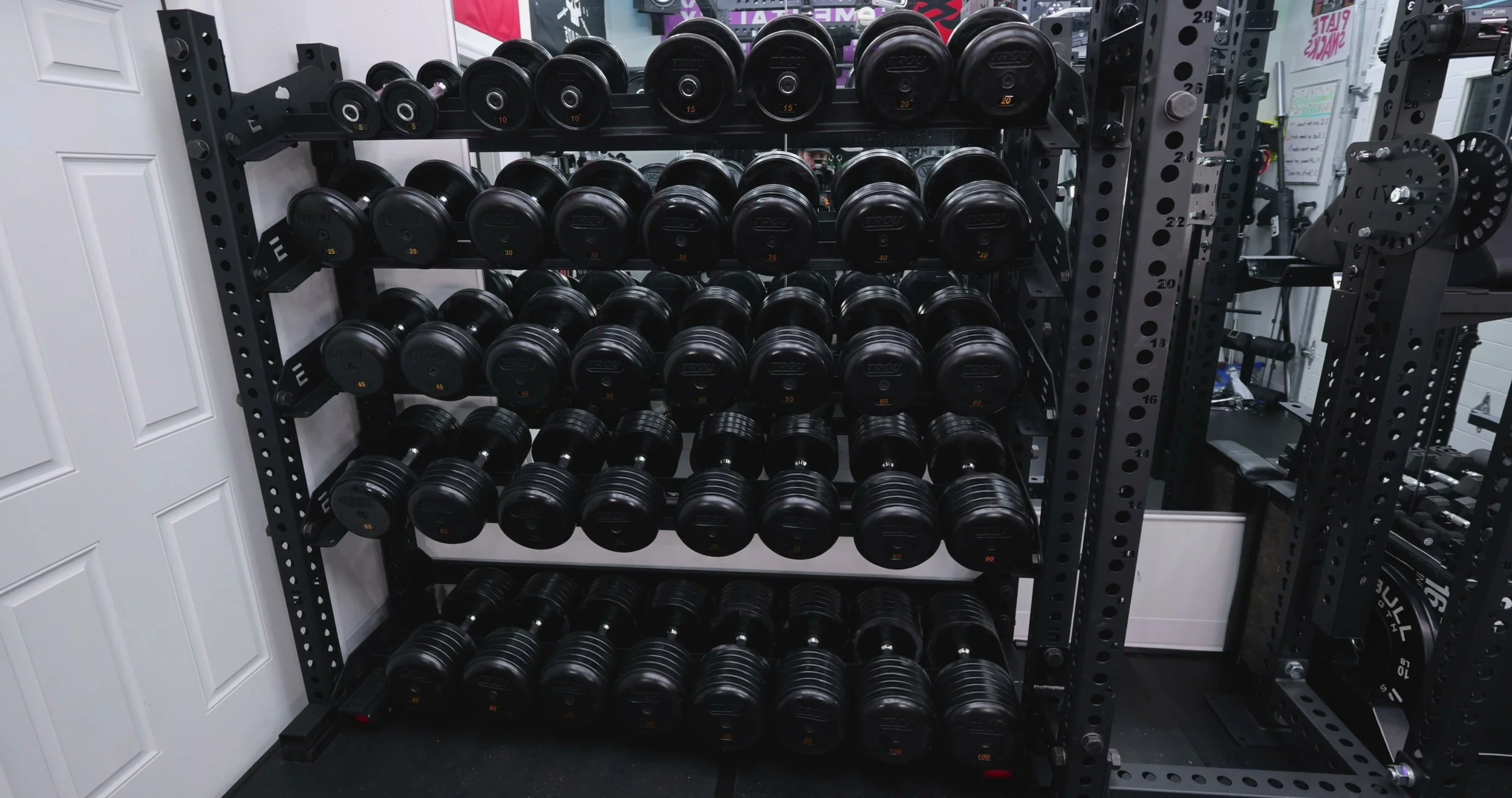 synergy delta horizontal dumbbell rack full 5 to 100 lb set