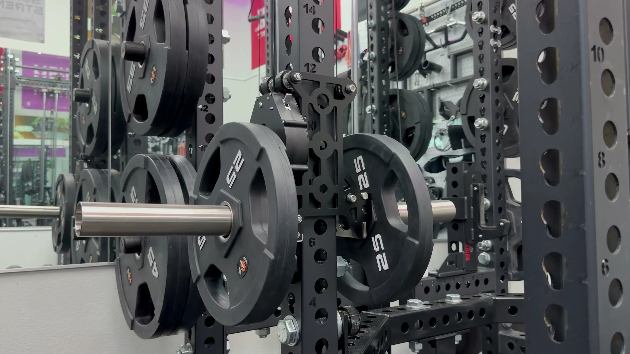 side view showing ibex weight horns protruding inside and outside rack with plates loaded