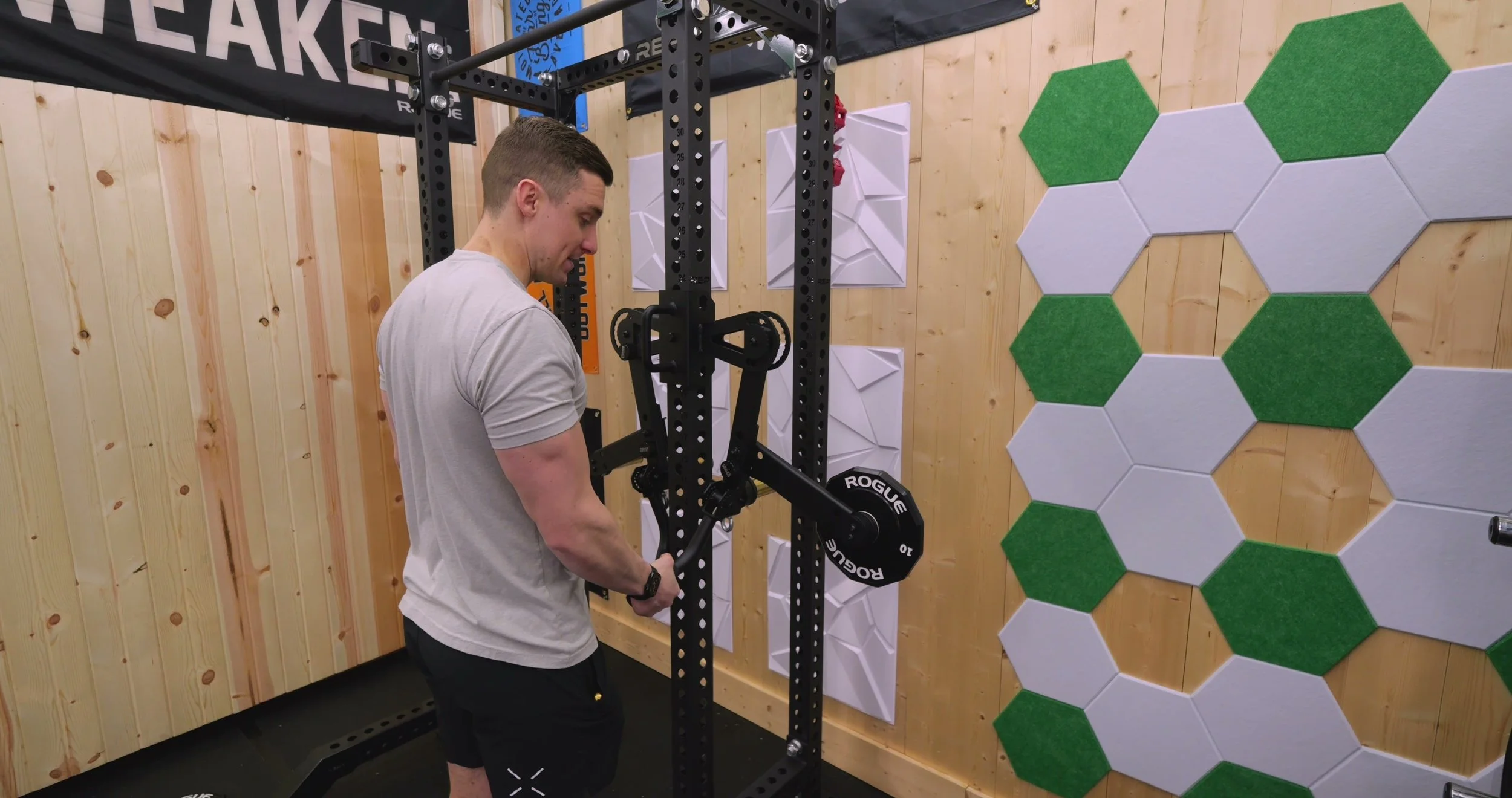 dragonfly lateral raise handle with adjustable detent pin positions