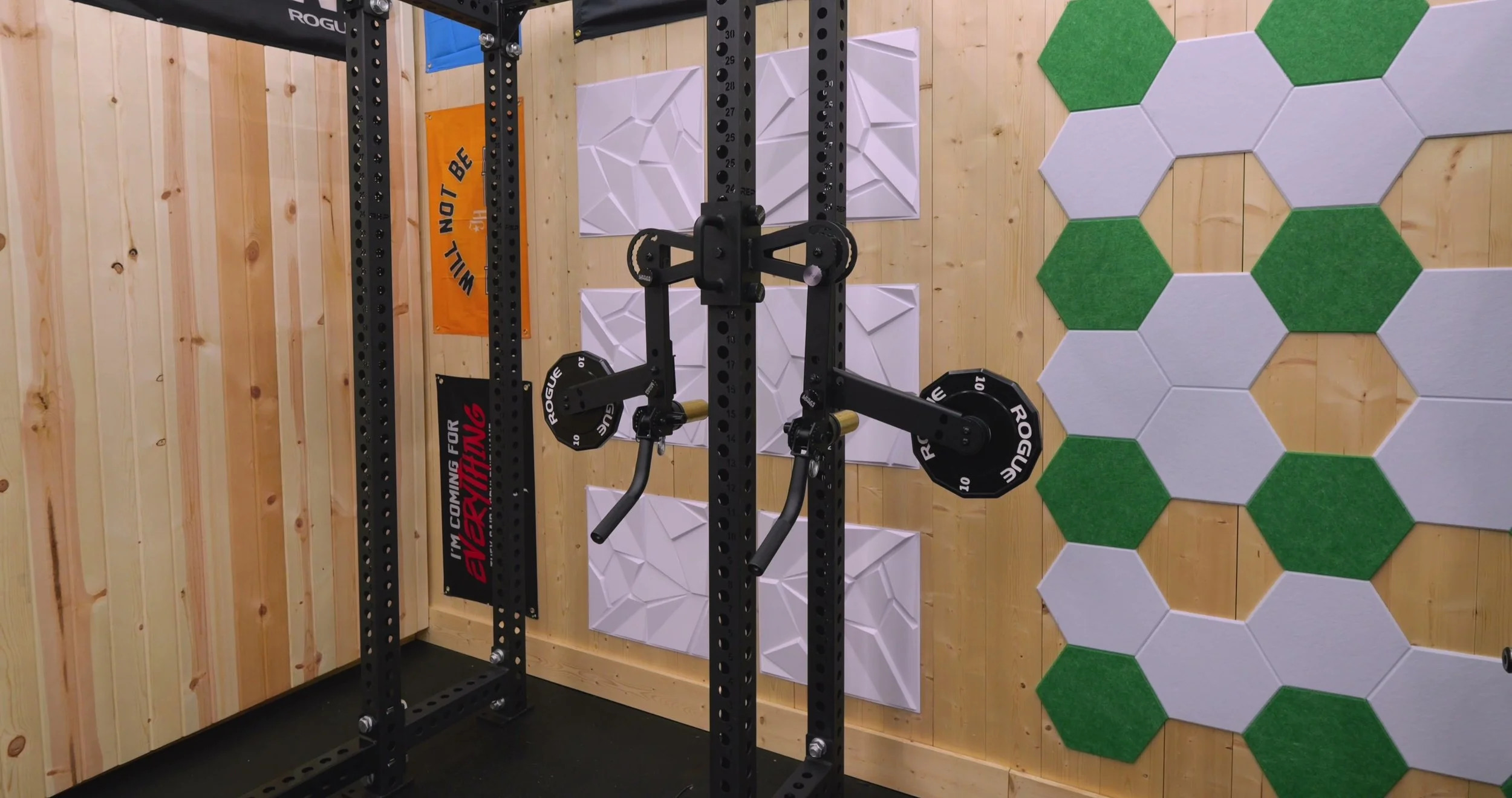 fringe sport dragonfly lateral raise attachment mounted to power rack