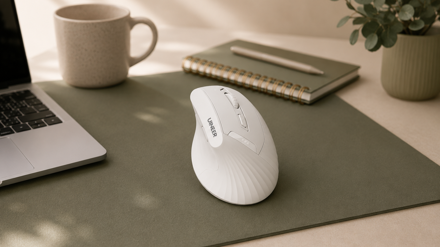 ergonomic mouse work from home desk set up  vertical mouse