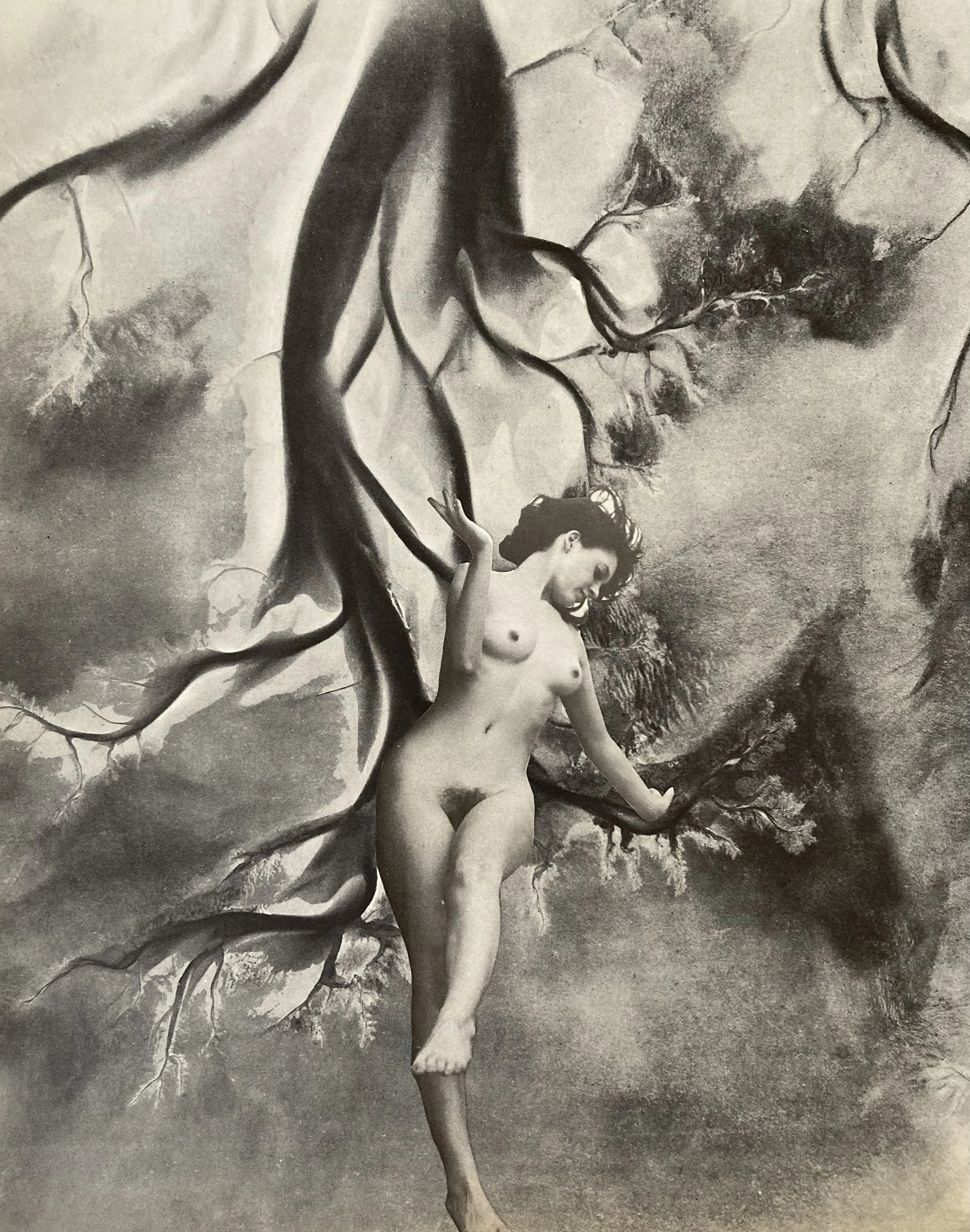 "For Marianne Faithful"