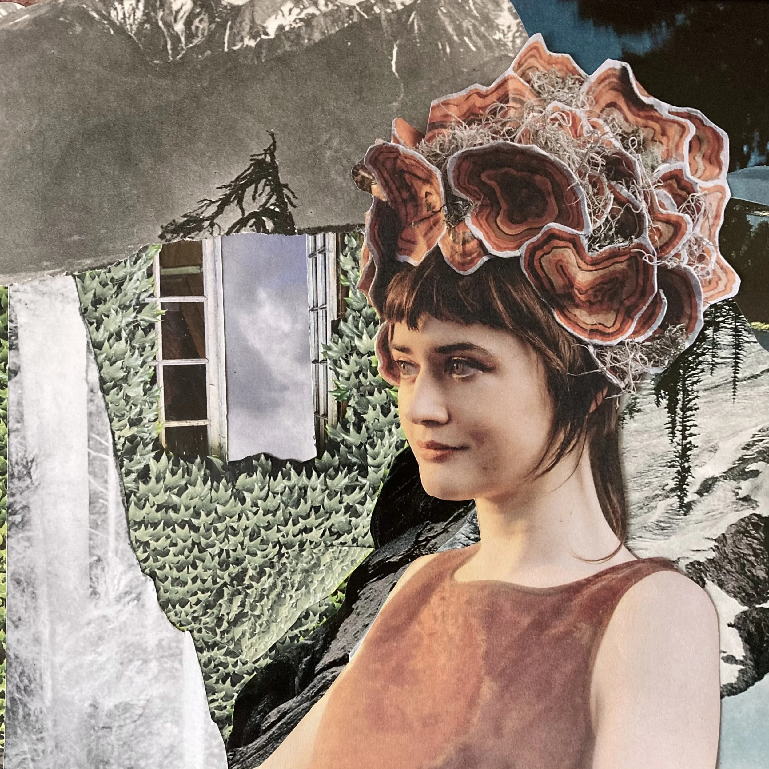 album art Mt Fog.jpeg