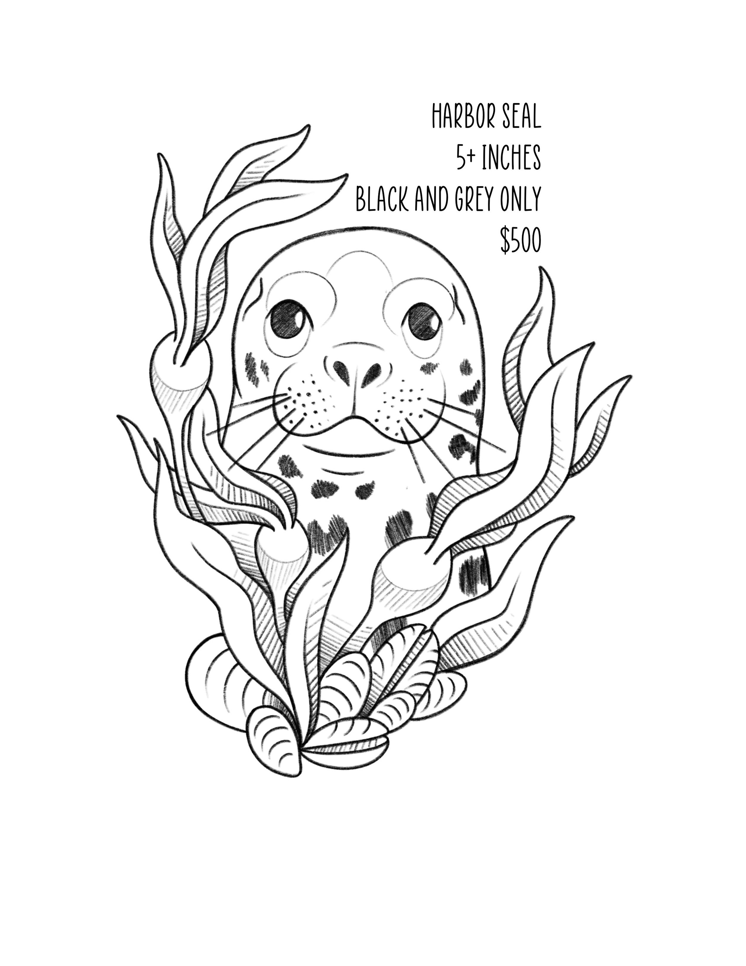 image_123650291 (6).JPG