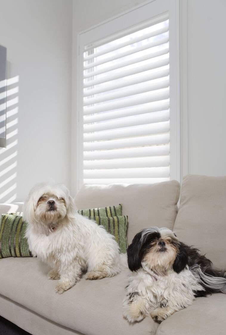 Hinged-Shutters-Lounge-Family_optimized_250.jpg
