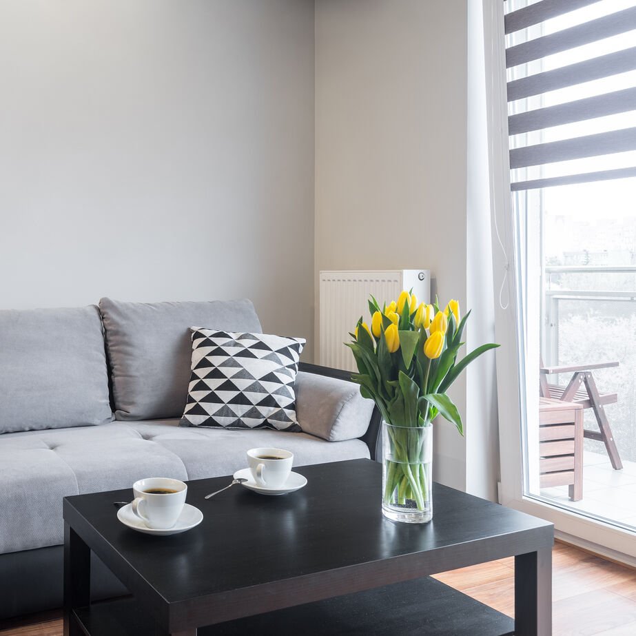 Living-Room-Blind-Sun-Block_optimized_250.jpeg