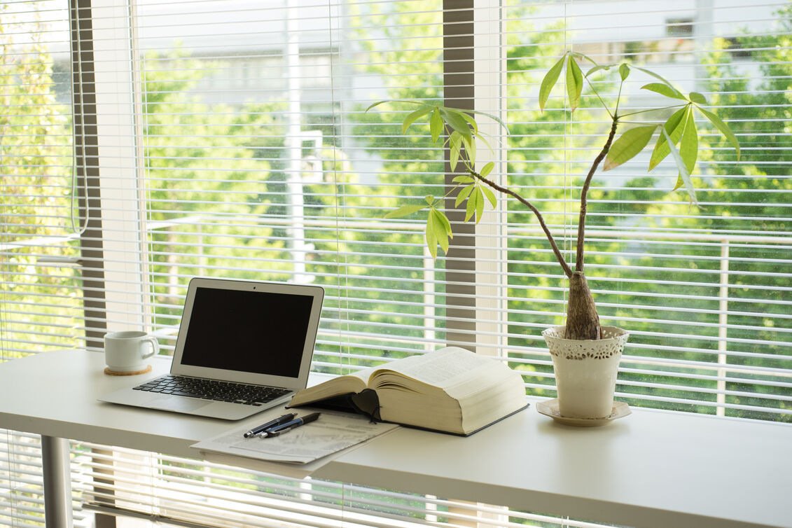 Venetian-Blind-Office-Study_optimized_250.jpeg